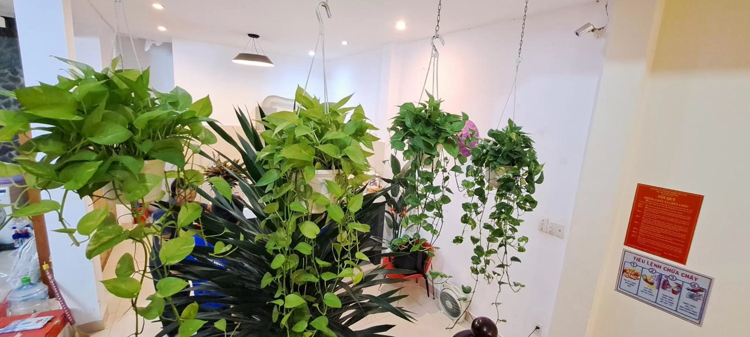 Property building in The Alley Saigon Hotel