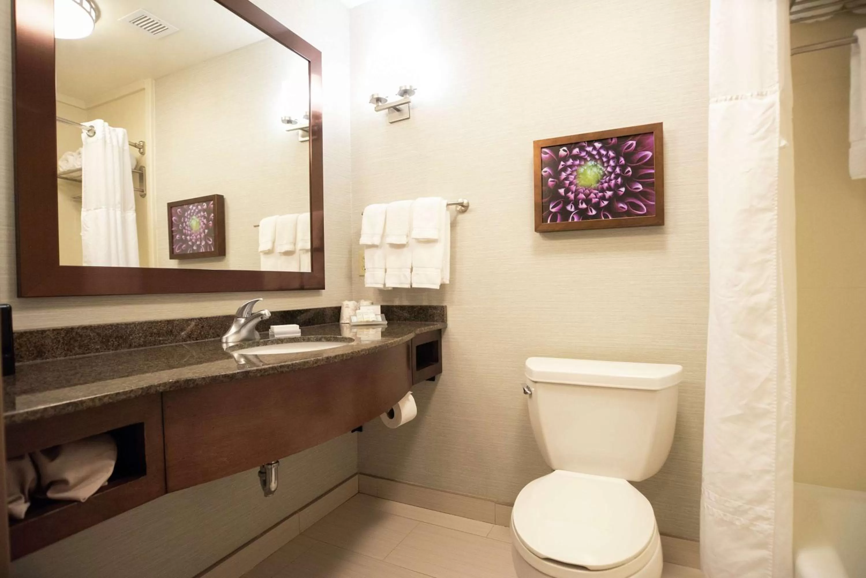 Bathroom in Hilton Garden Inn Covington/Mandeville