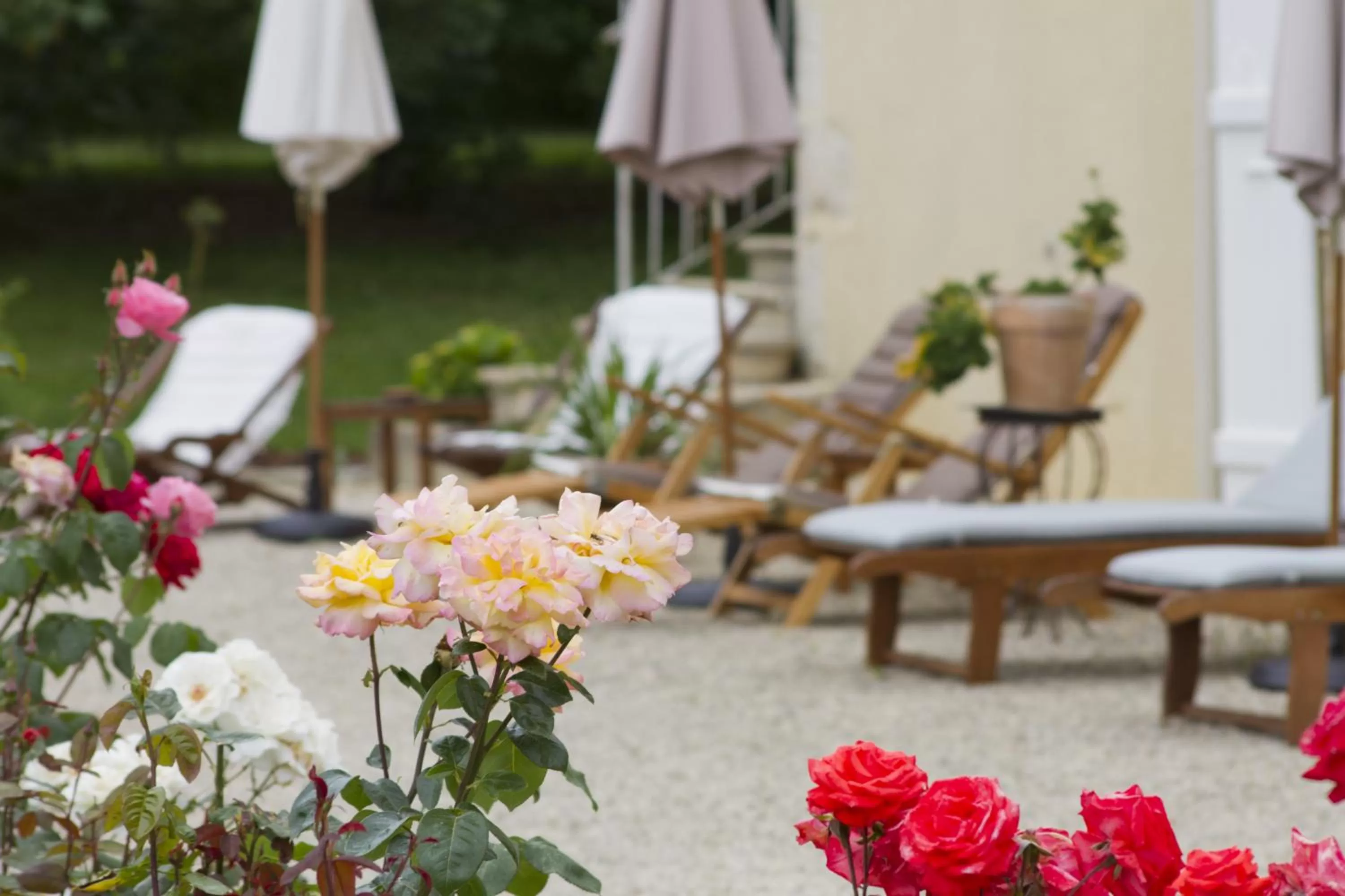 Balcony/Terrace in Maison d'hôtes de Charme Les Bruhasses