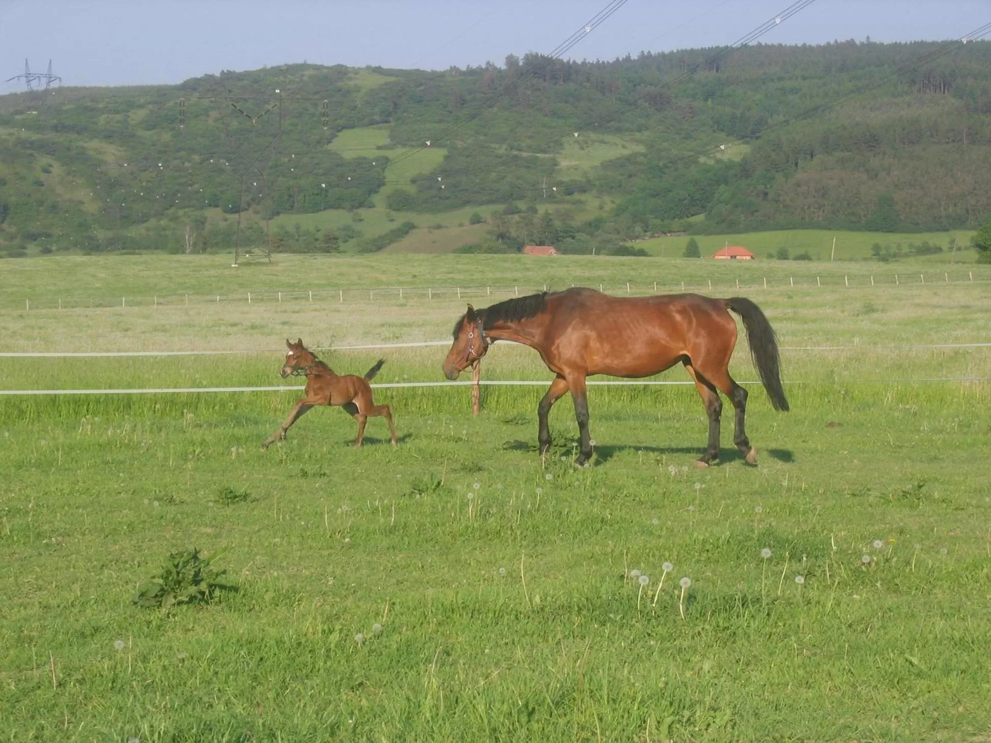 Nearby landmark in Pytloun Chateau Hotel Ctěnice