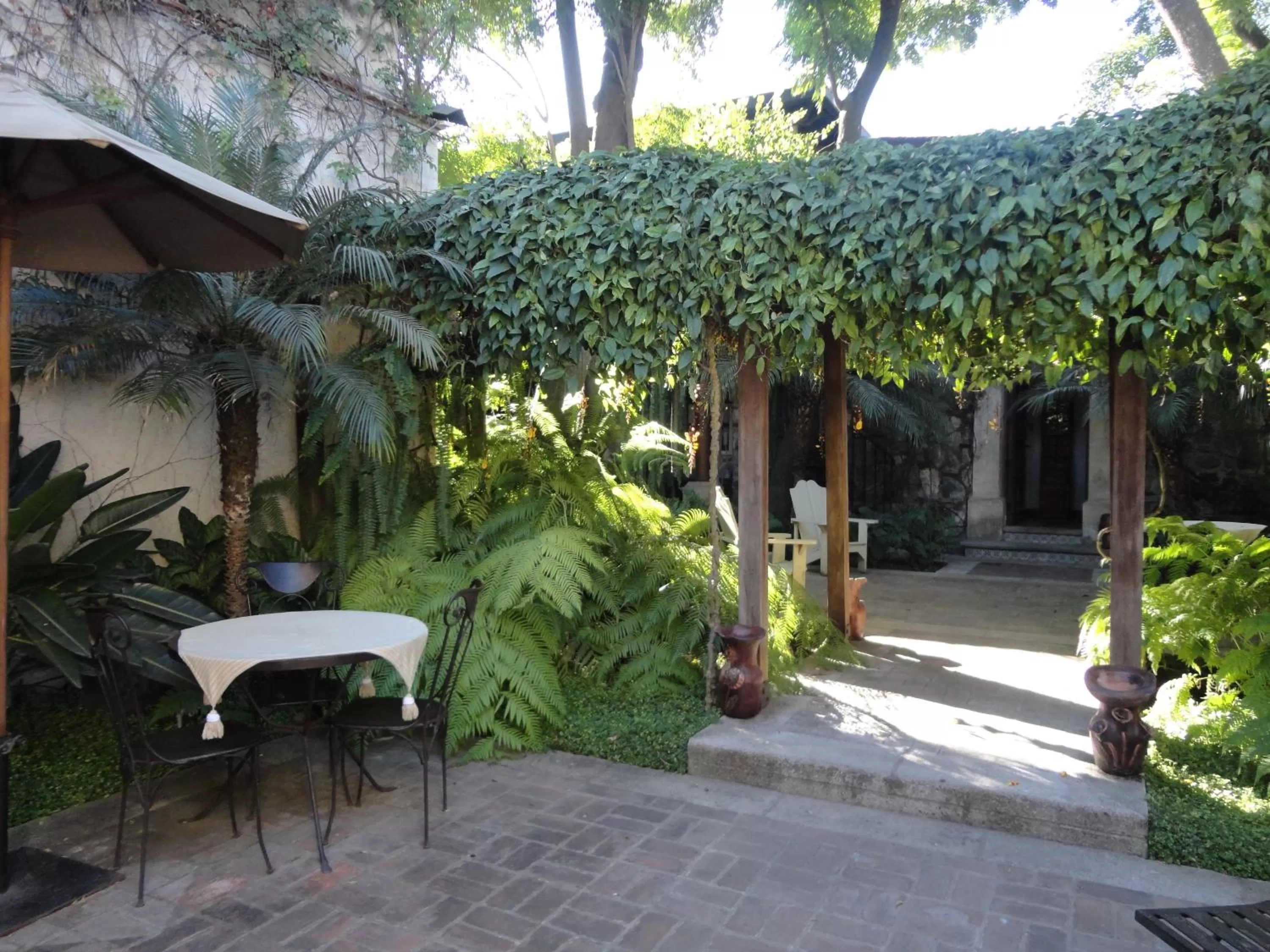 Garden in Cissus Hotel Boutique