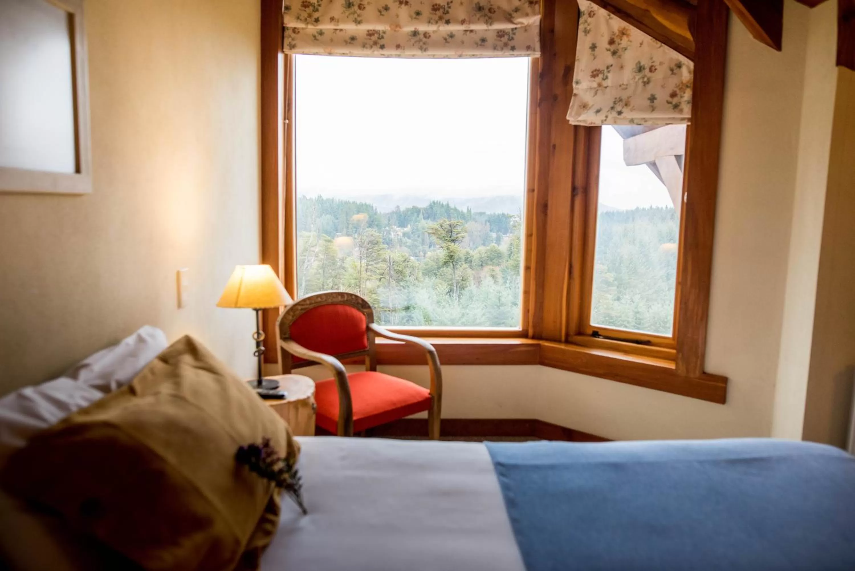 Bed in Amigos del Bosque