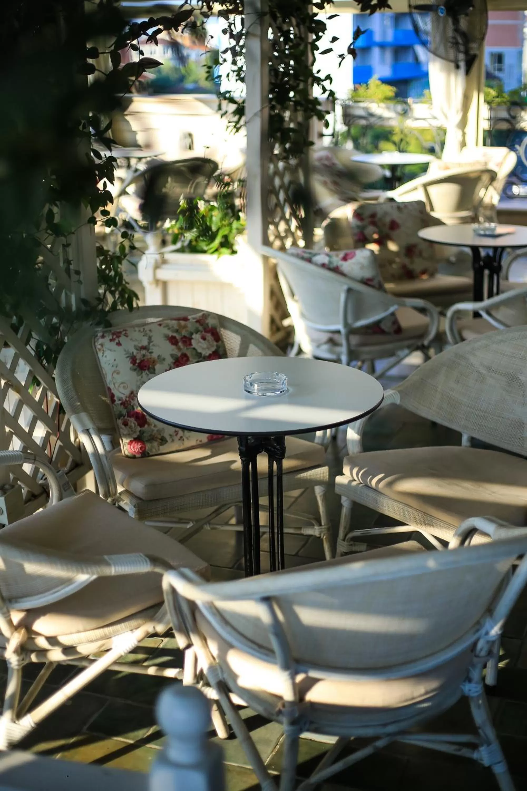 Patio in Hotel Monarch