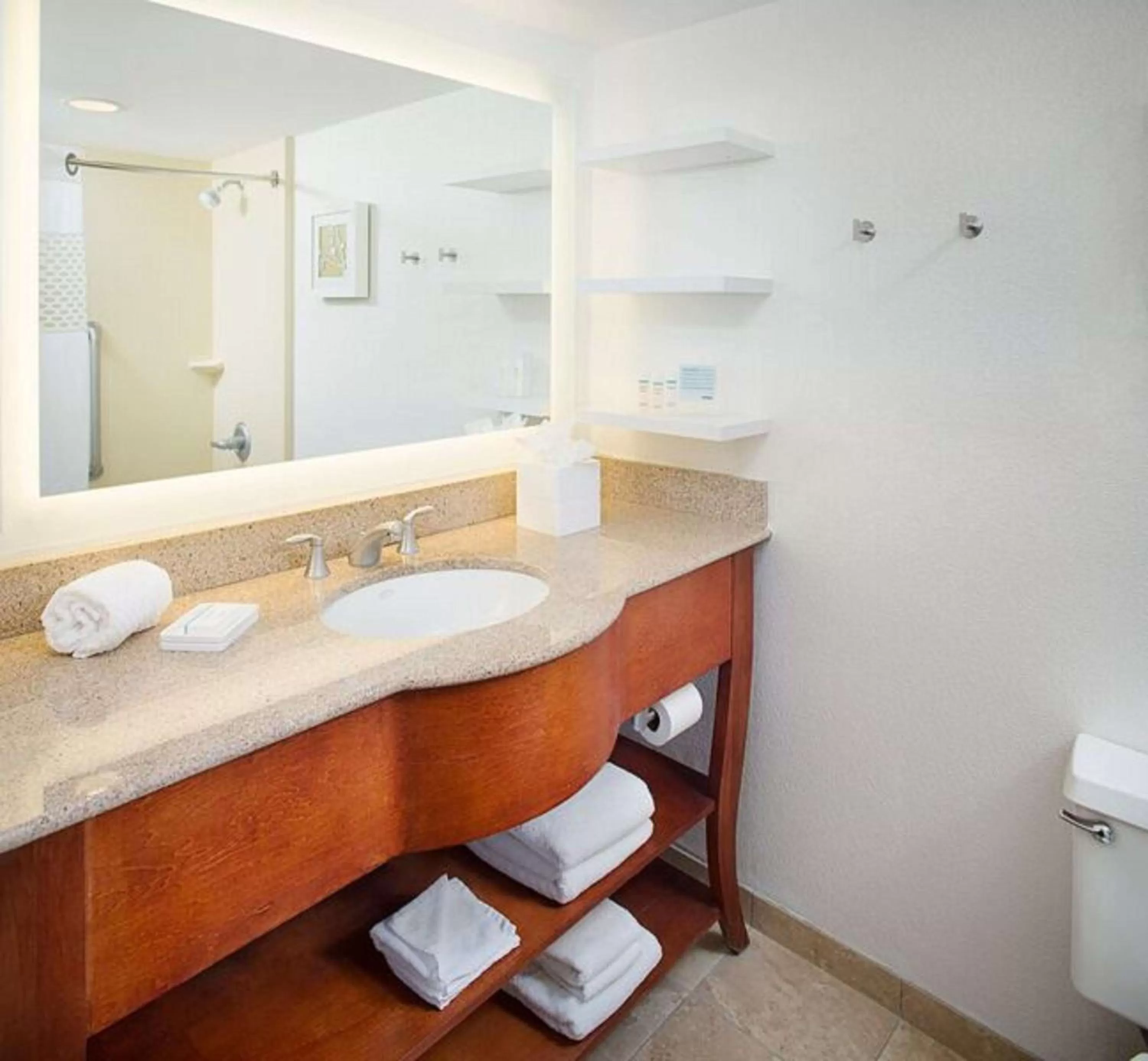 Bathroom in Hampton Inn Parsippany