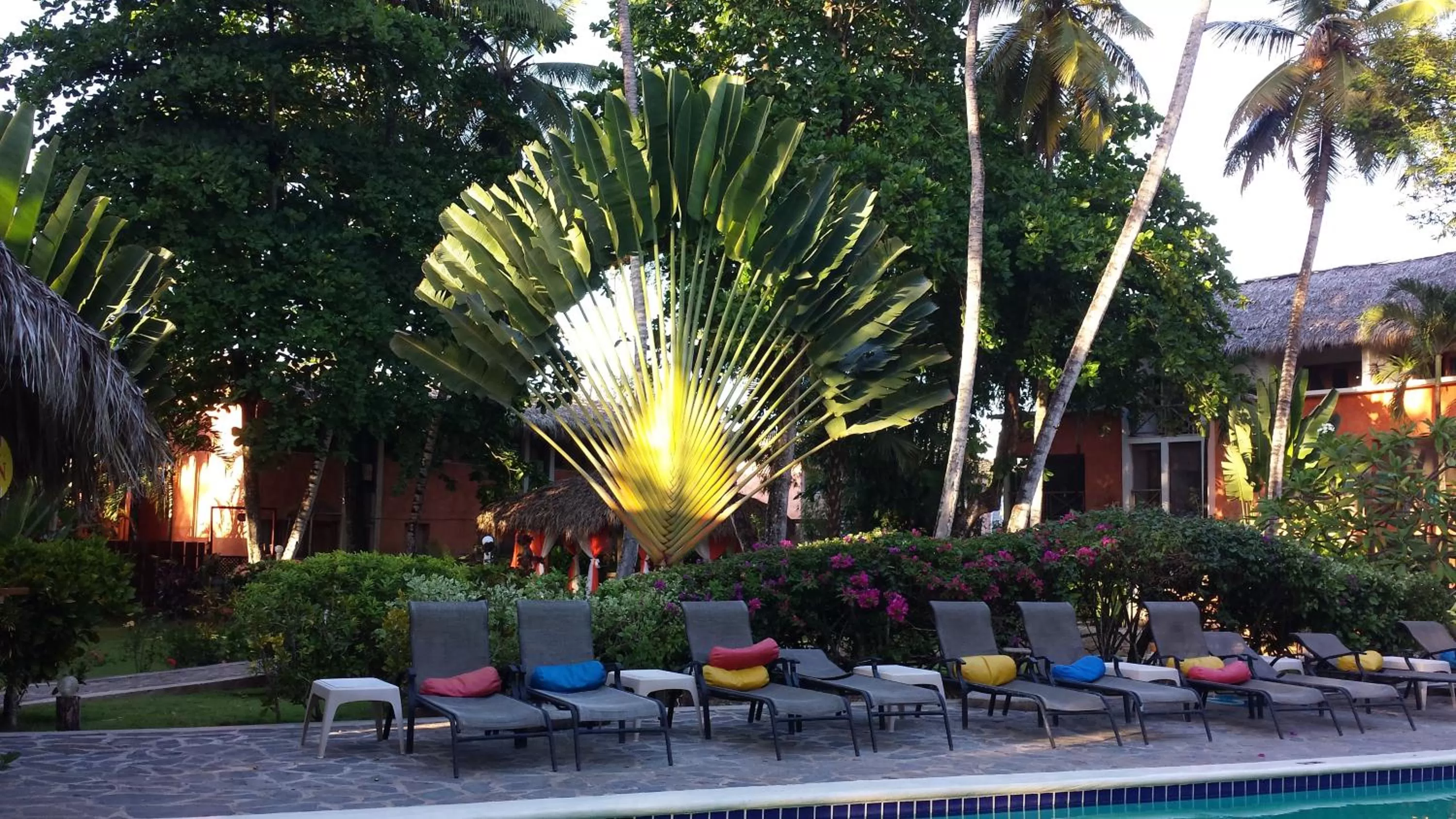 Swimming pool in La Residencia del Paseo
