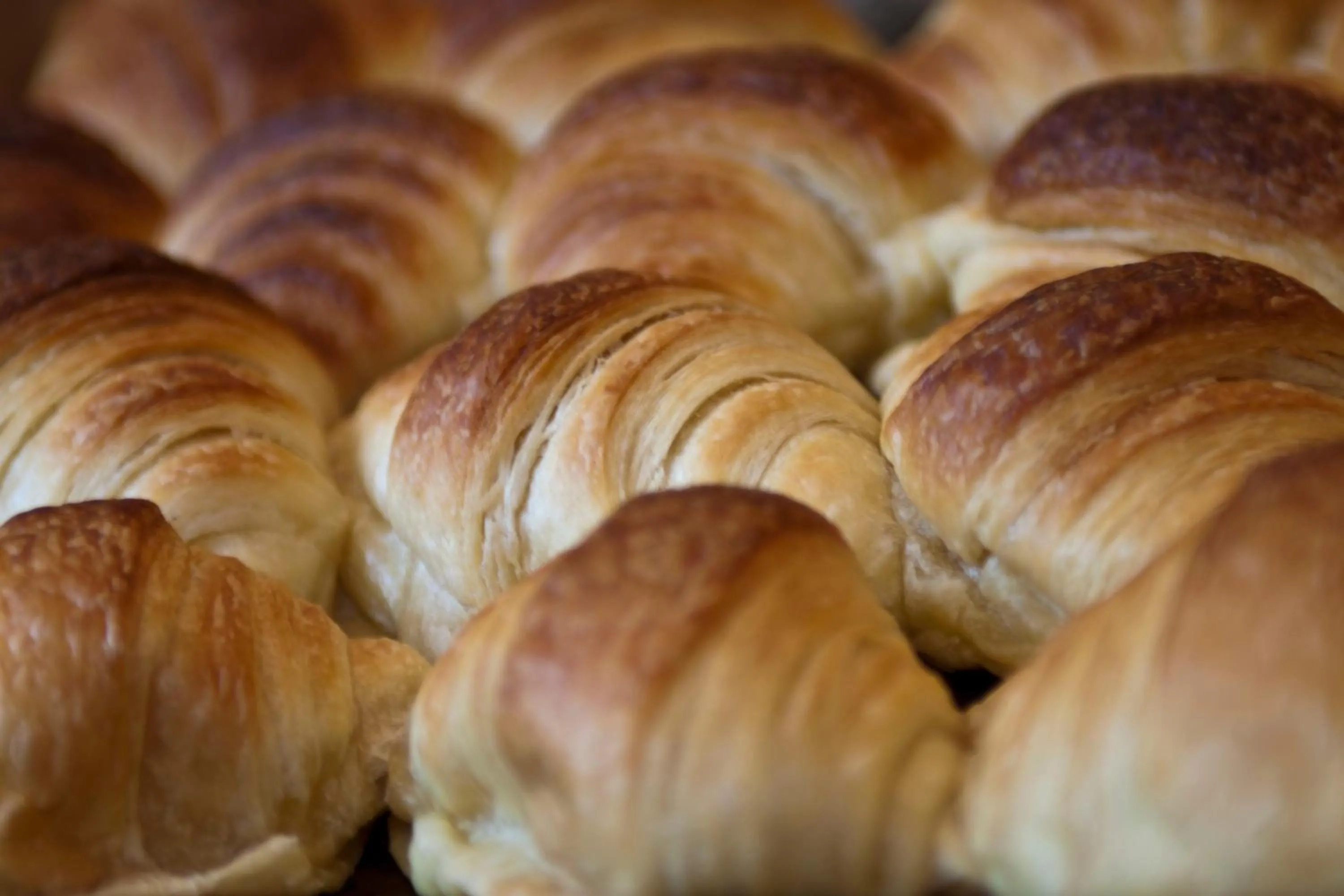 Food and drinks in Hotel La Bohème