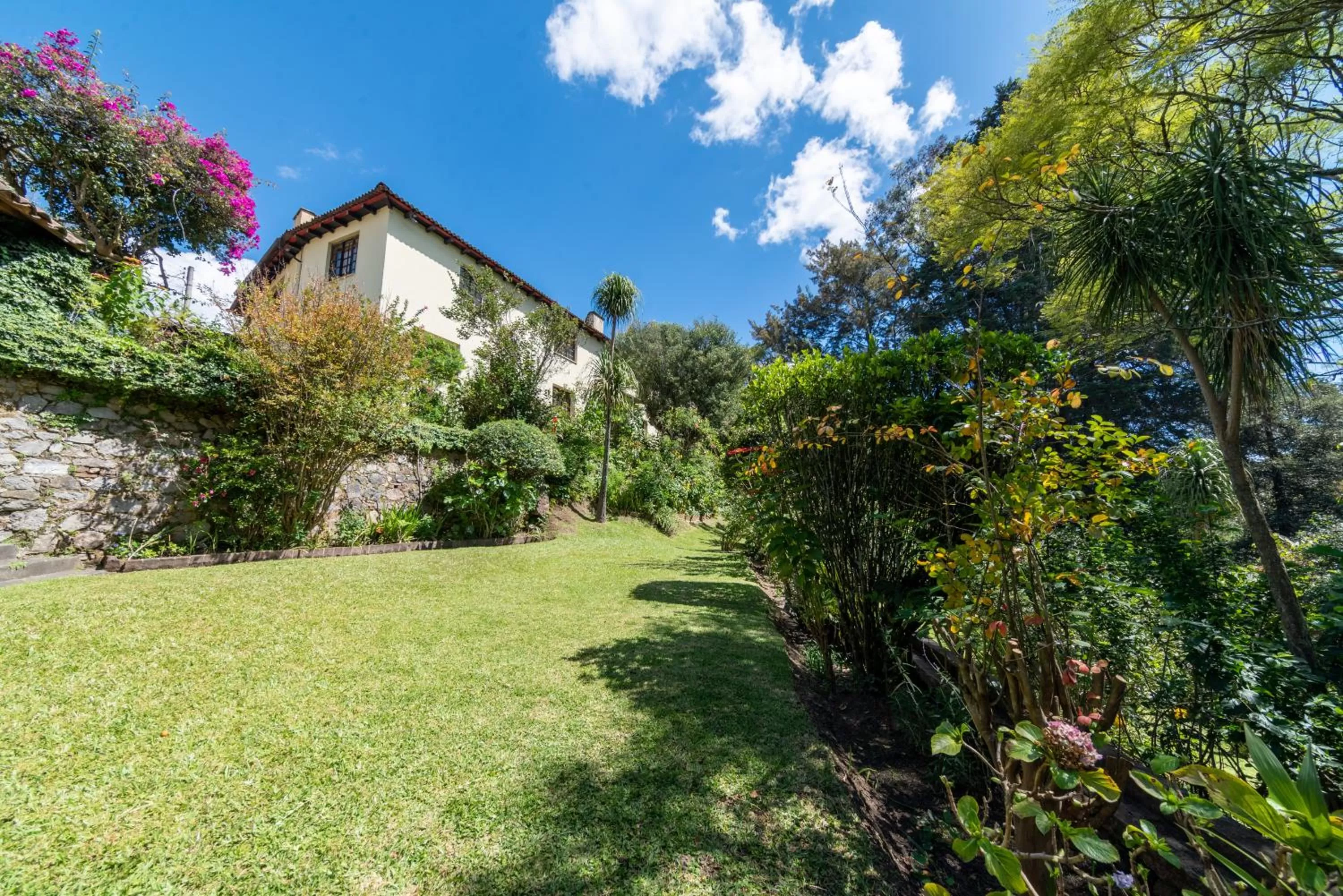 Garden in Hotel Museo Mayan Inn