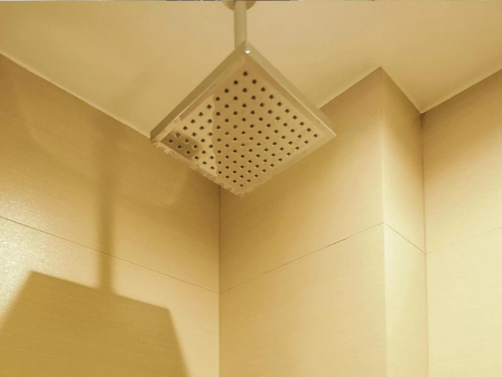 Shower in Go Hotels North EDSA