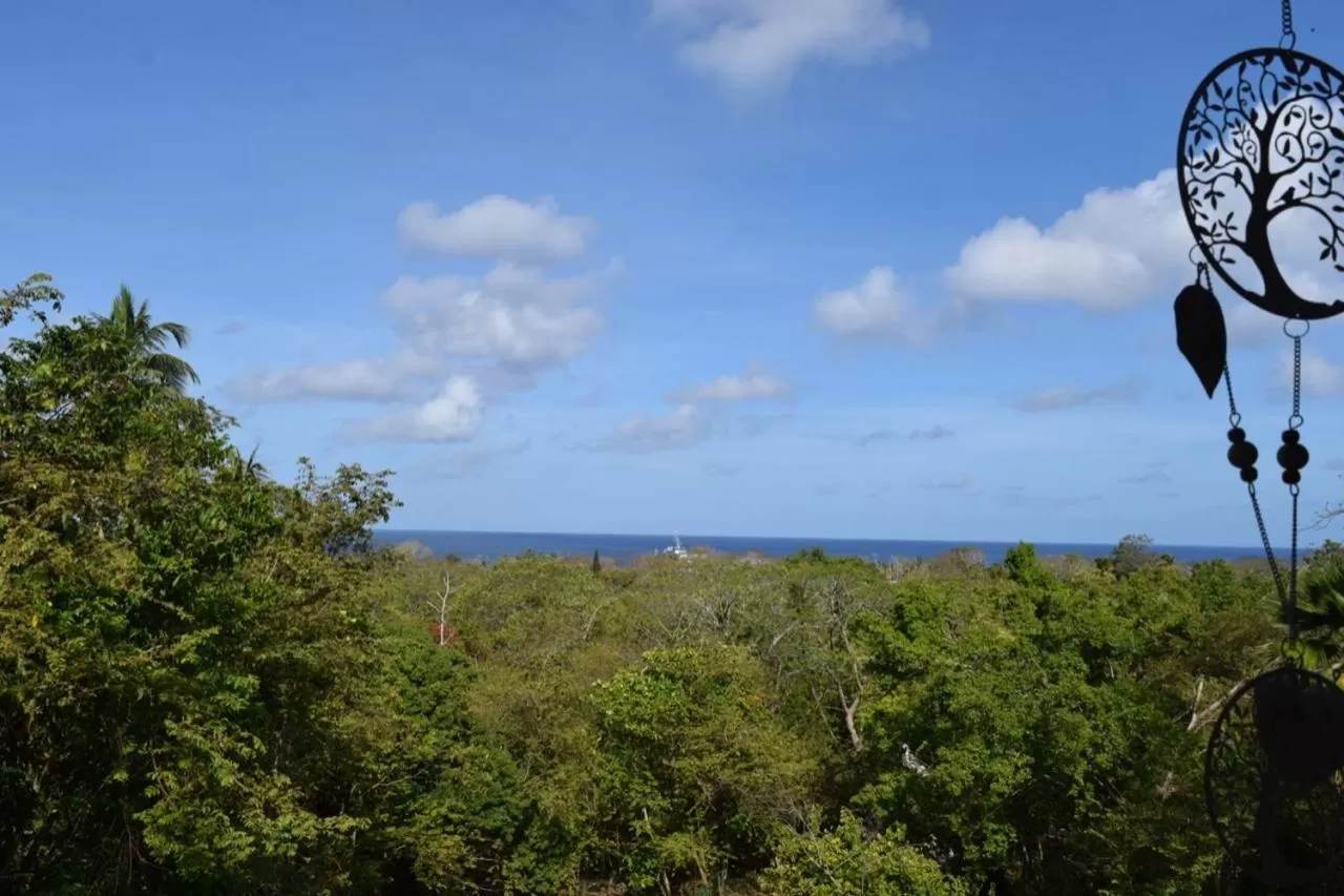 Sea view in Massalli Sanctuary Lodge