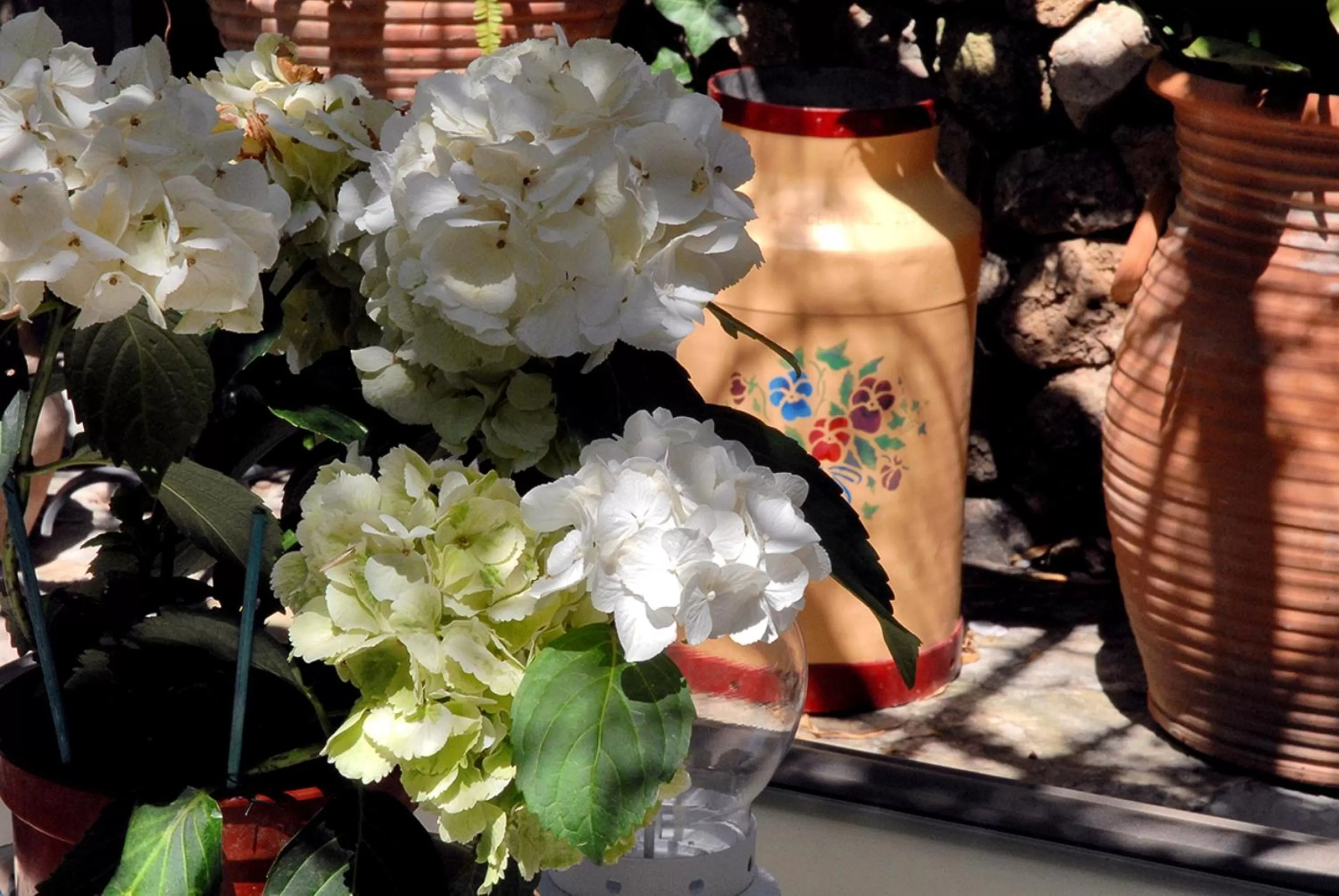 Day in Sa Vall Valldemossa