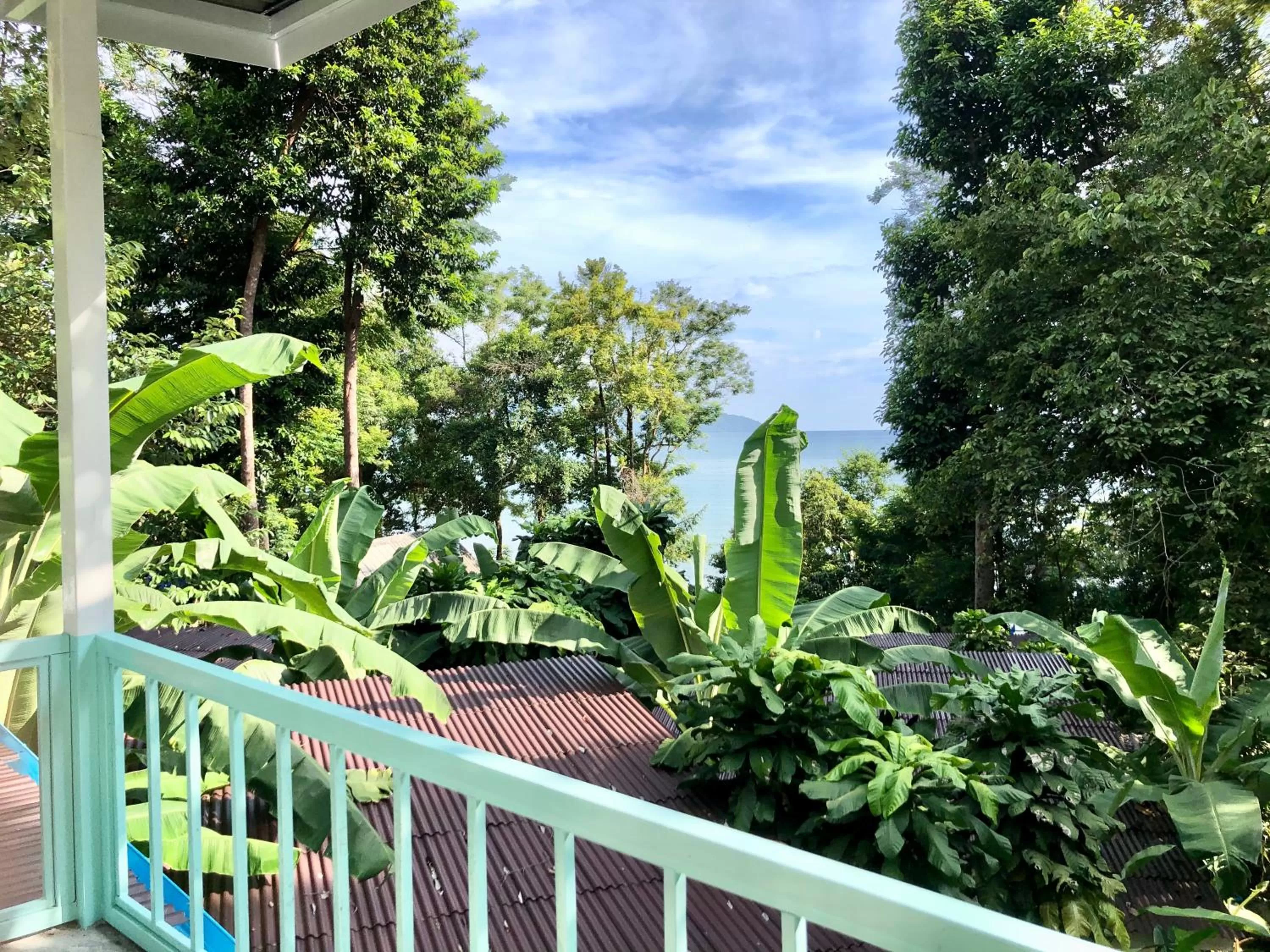 Garden in Indie Beach Bungalows