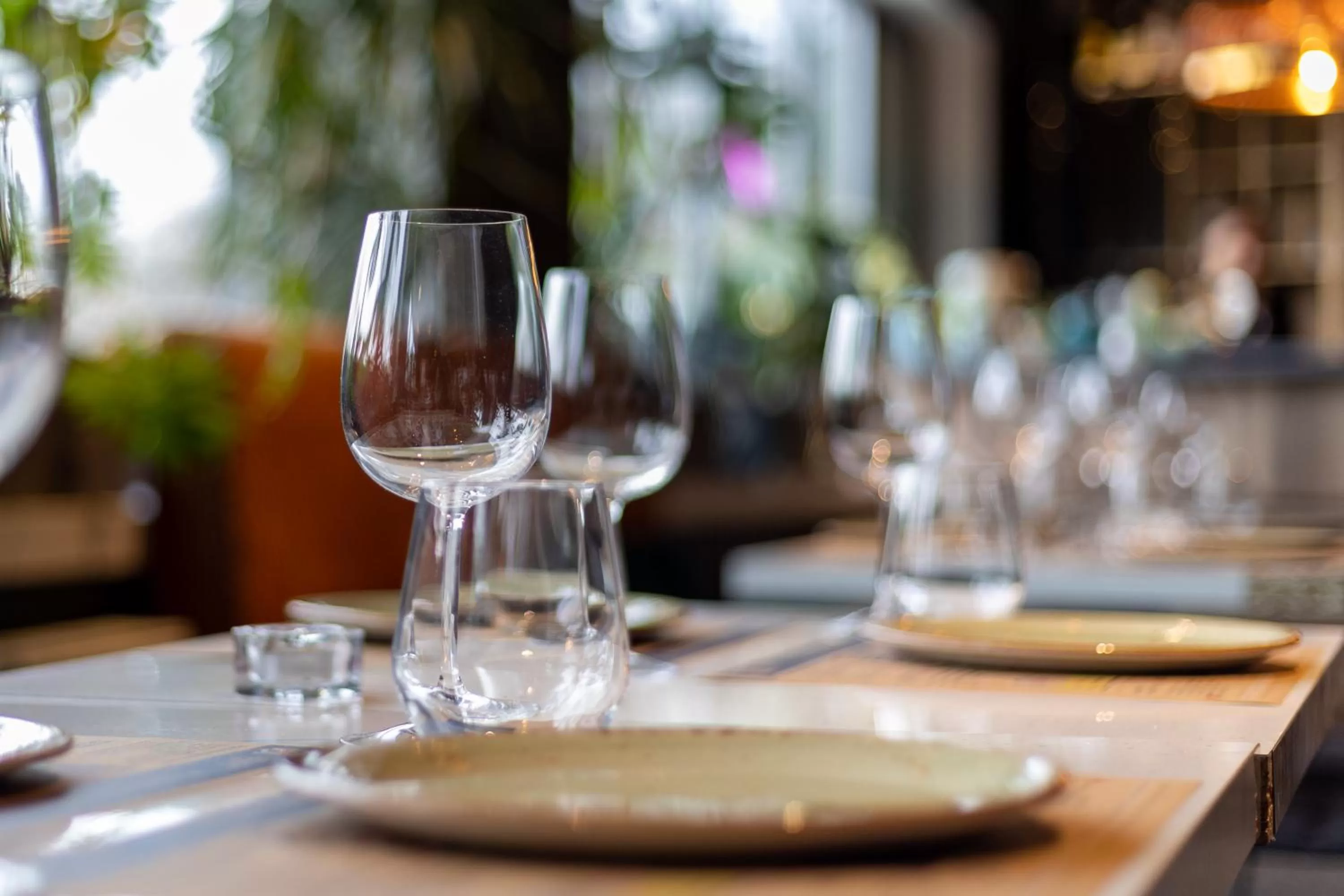 Restaurant/places to eat in Hotel Zoo by Afrykarium Wroclaw