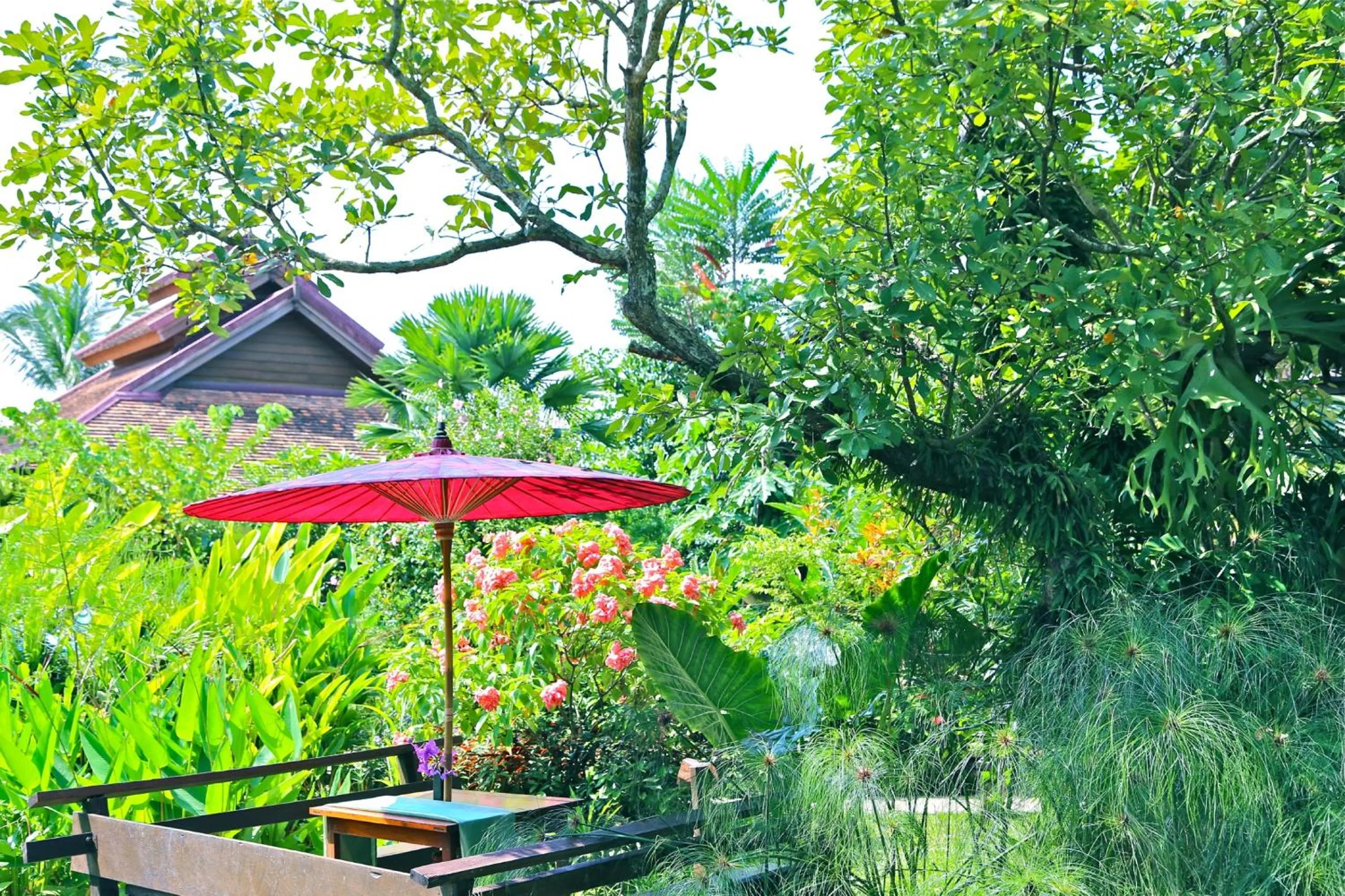 Balcony/Terrace in Oriental Siam Resort - SHA Extra Plus Certified