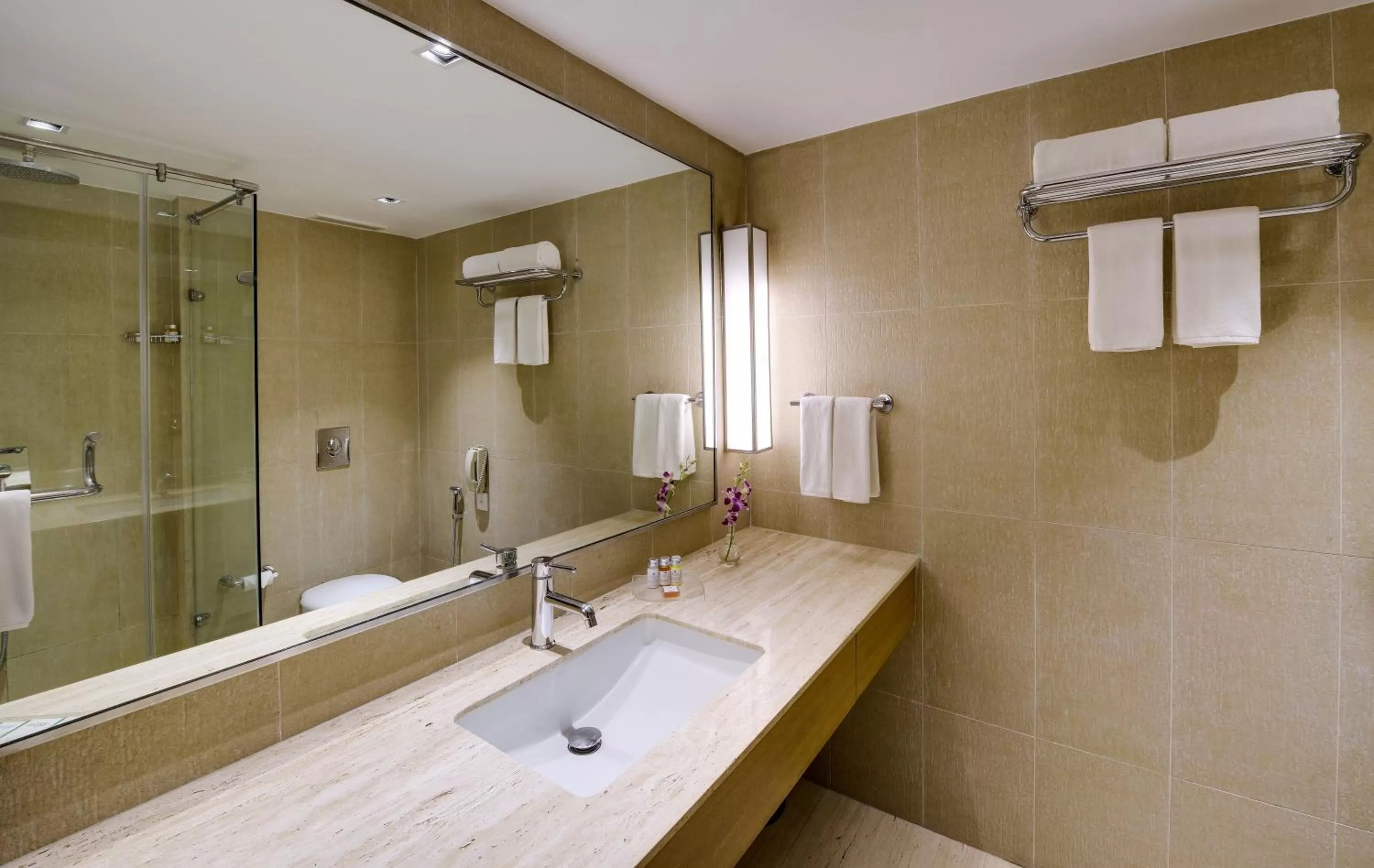 Shower in Svelte Delhi, a member of Radisson Individuals