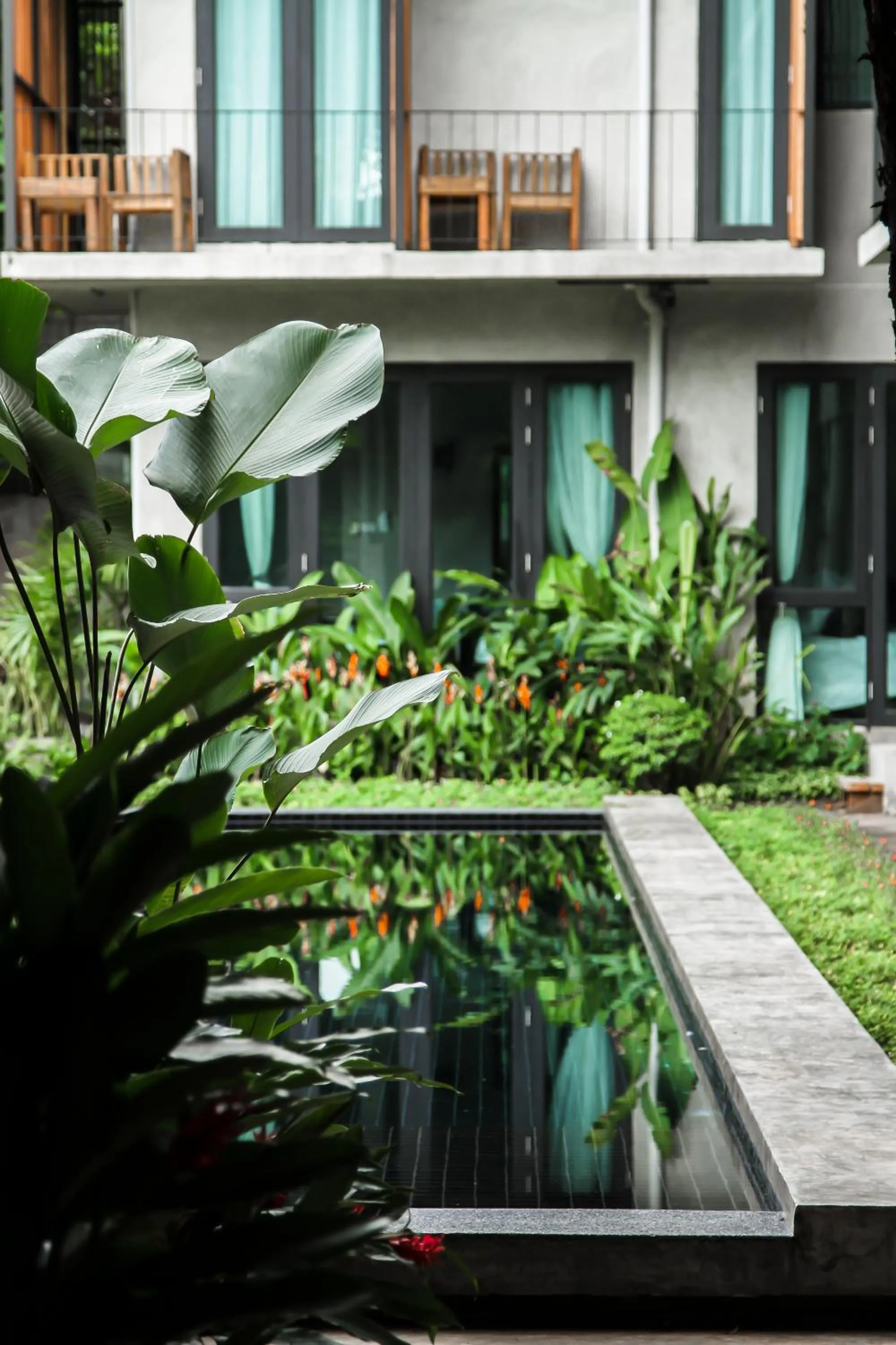 Swimming pool in Lamphu House Chiang Mai