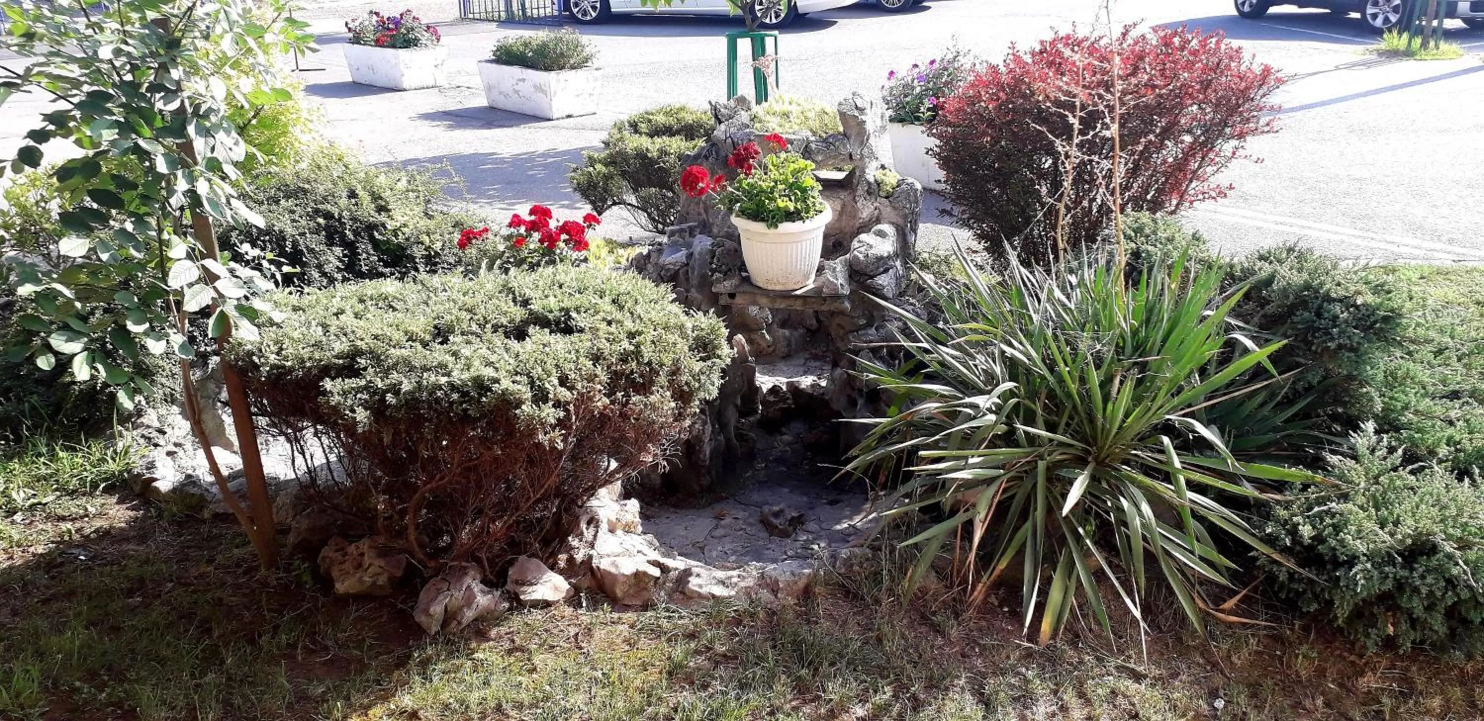 Garden in Hotel Slodes