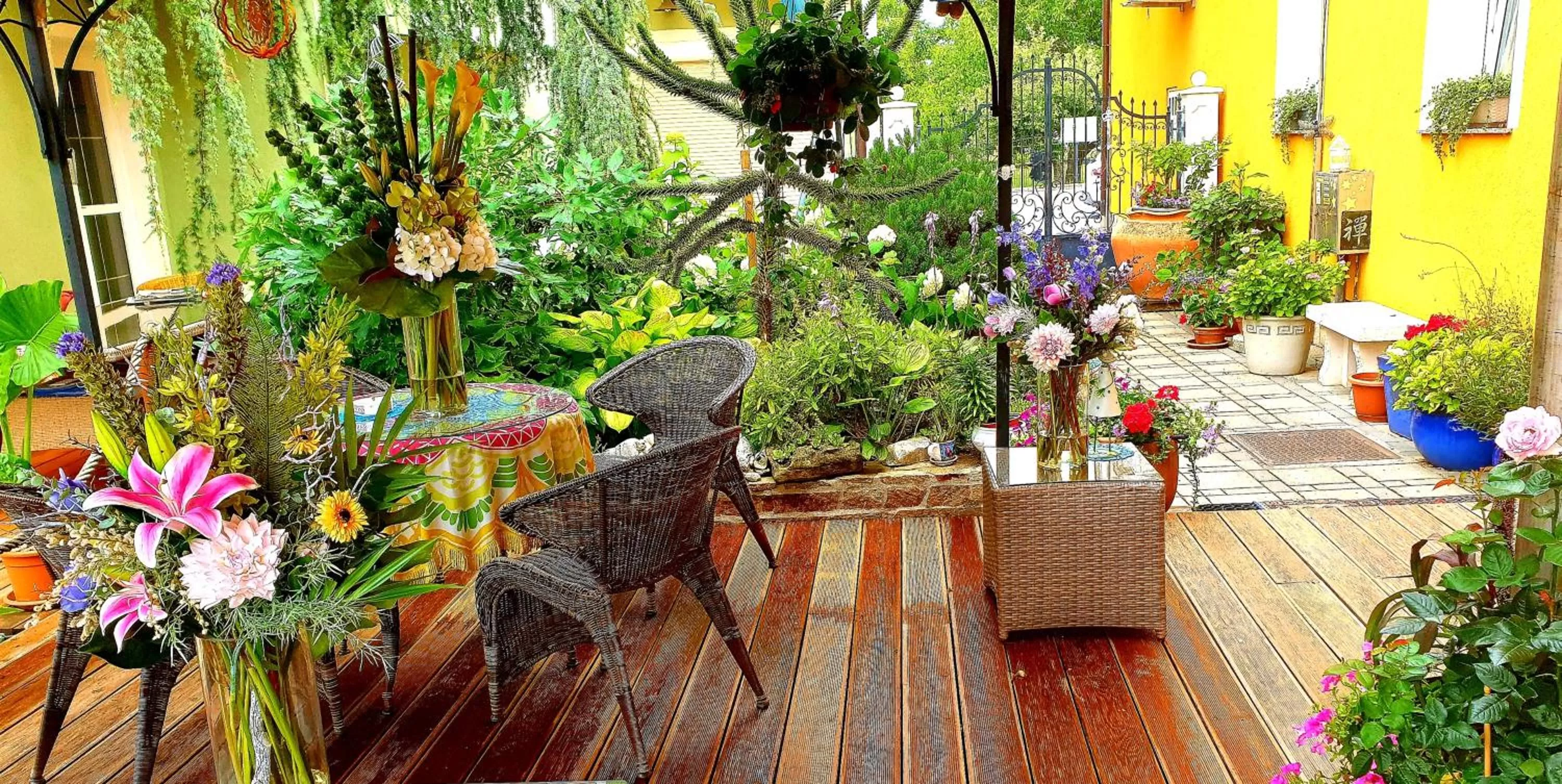 Garden in Hostel Sonce