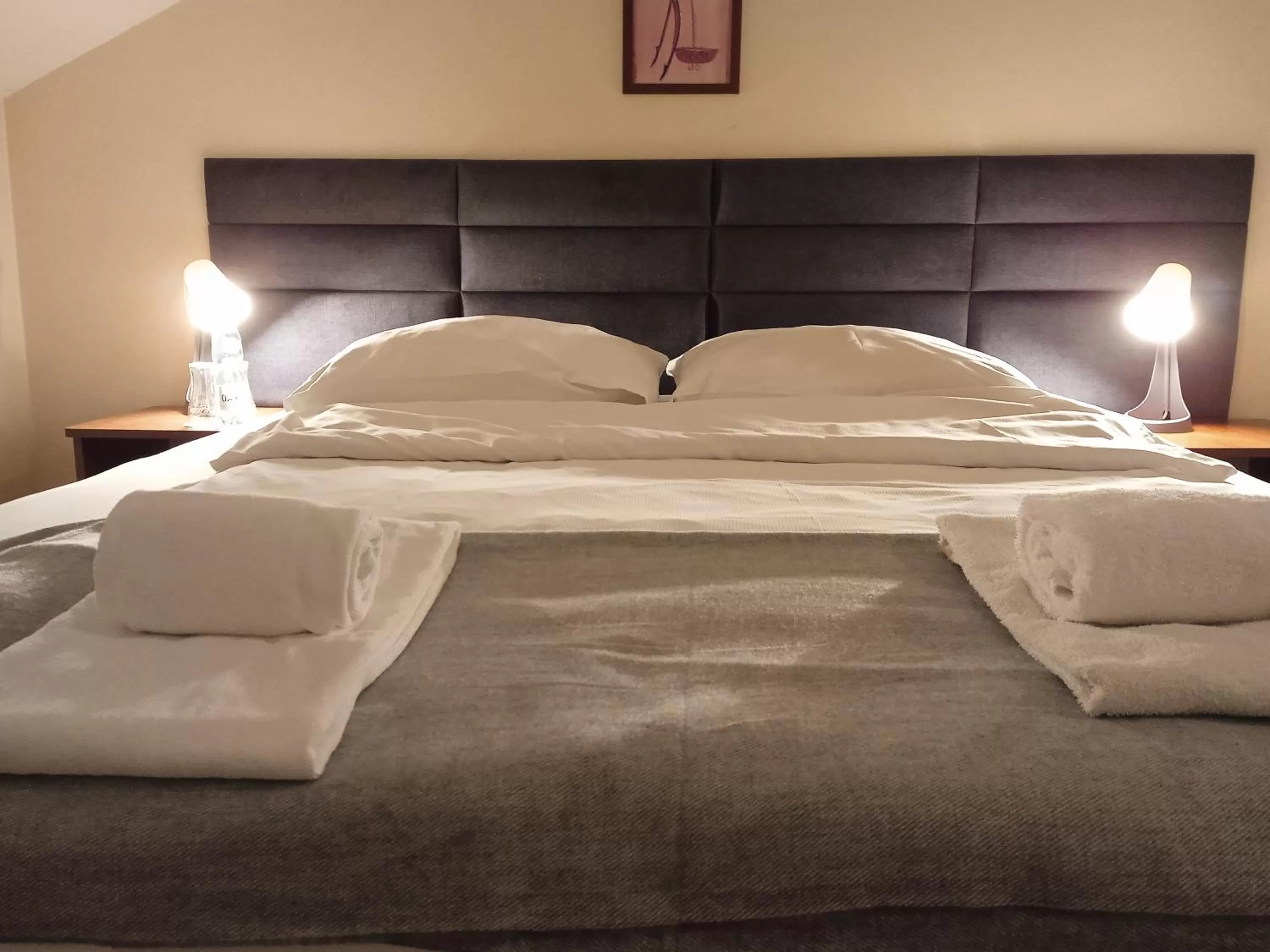 Standard Double Room in Centrum Konferencyjne Sułtan