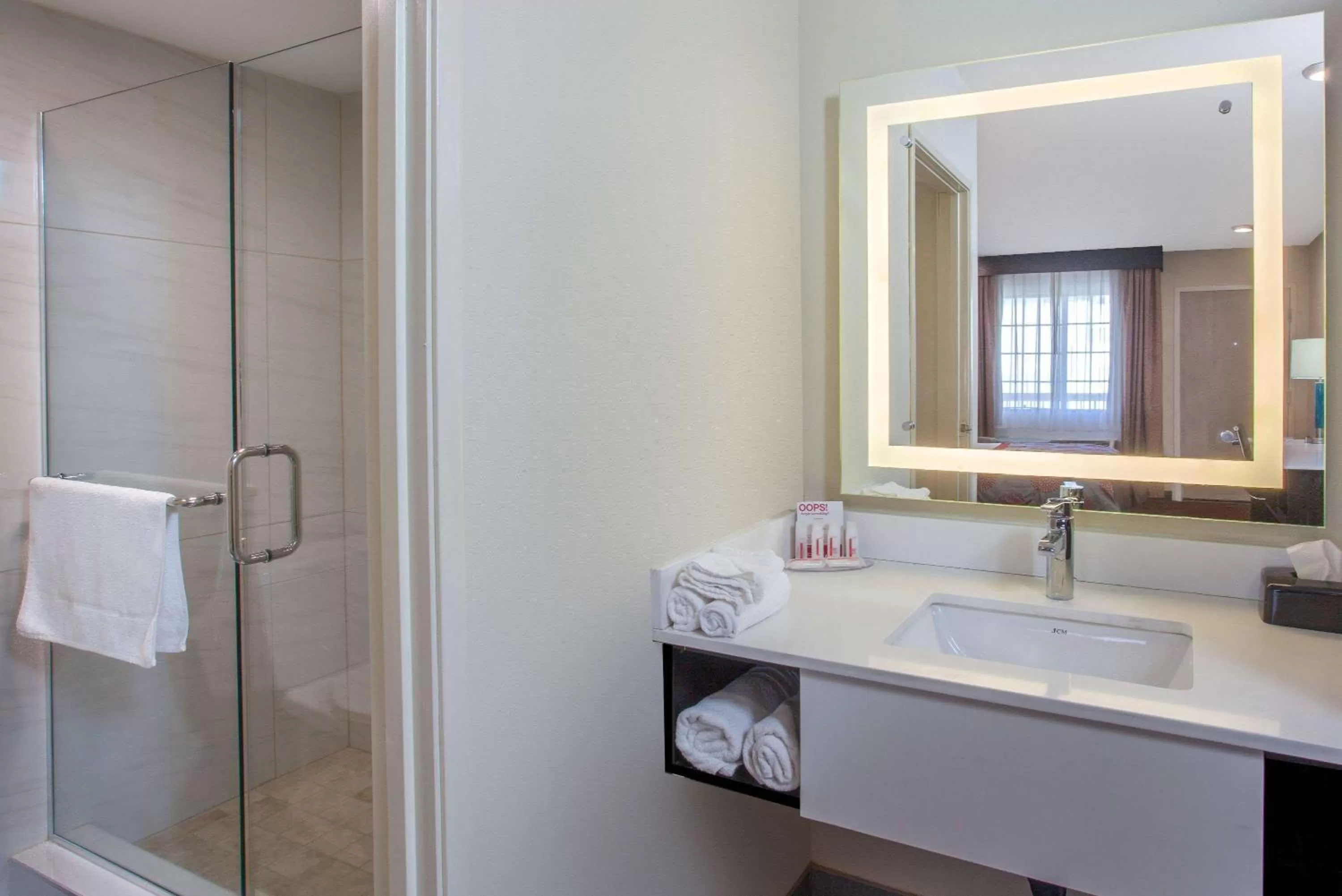 Bathroom in Ramada by Wyndham Culver City