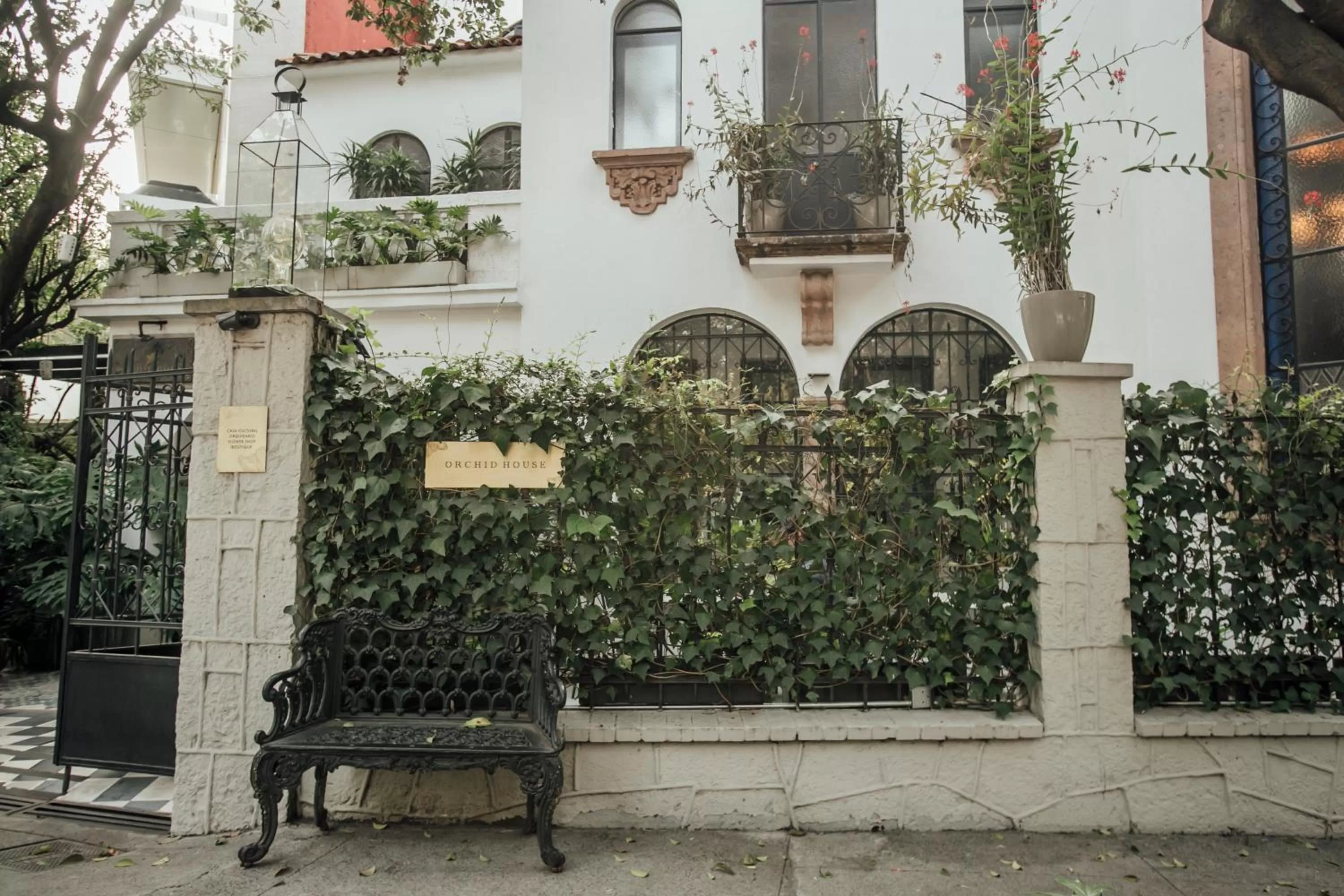 Property building in Orchid House Mexico City