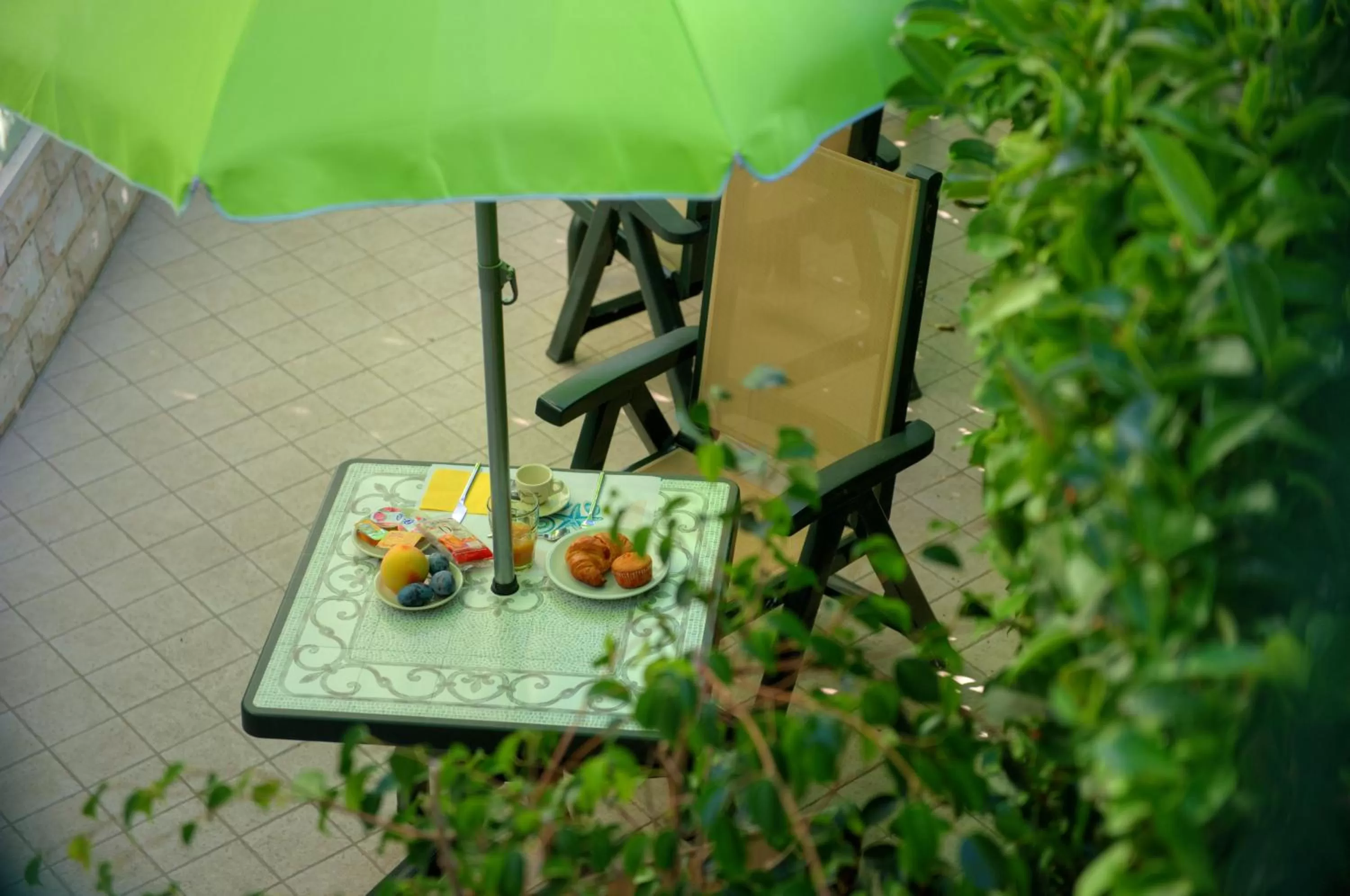 Garden view in La Casa Del Nonno