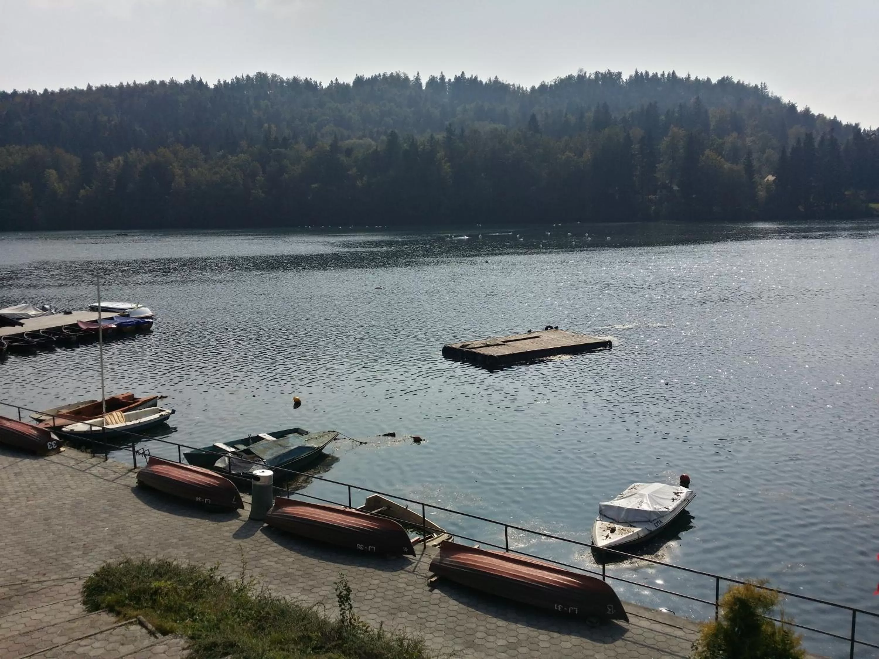 Natural landscape in Gostisce Jezero