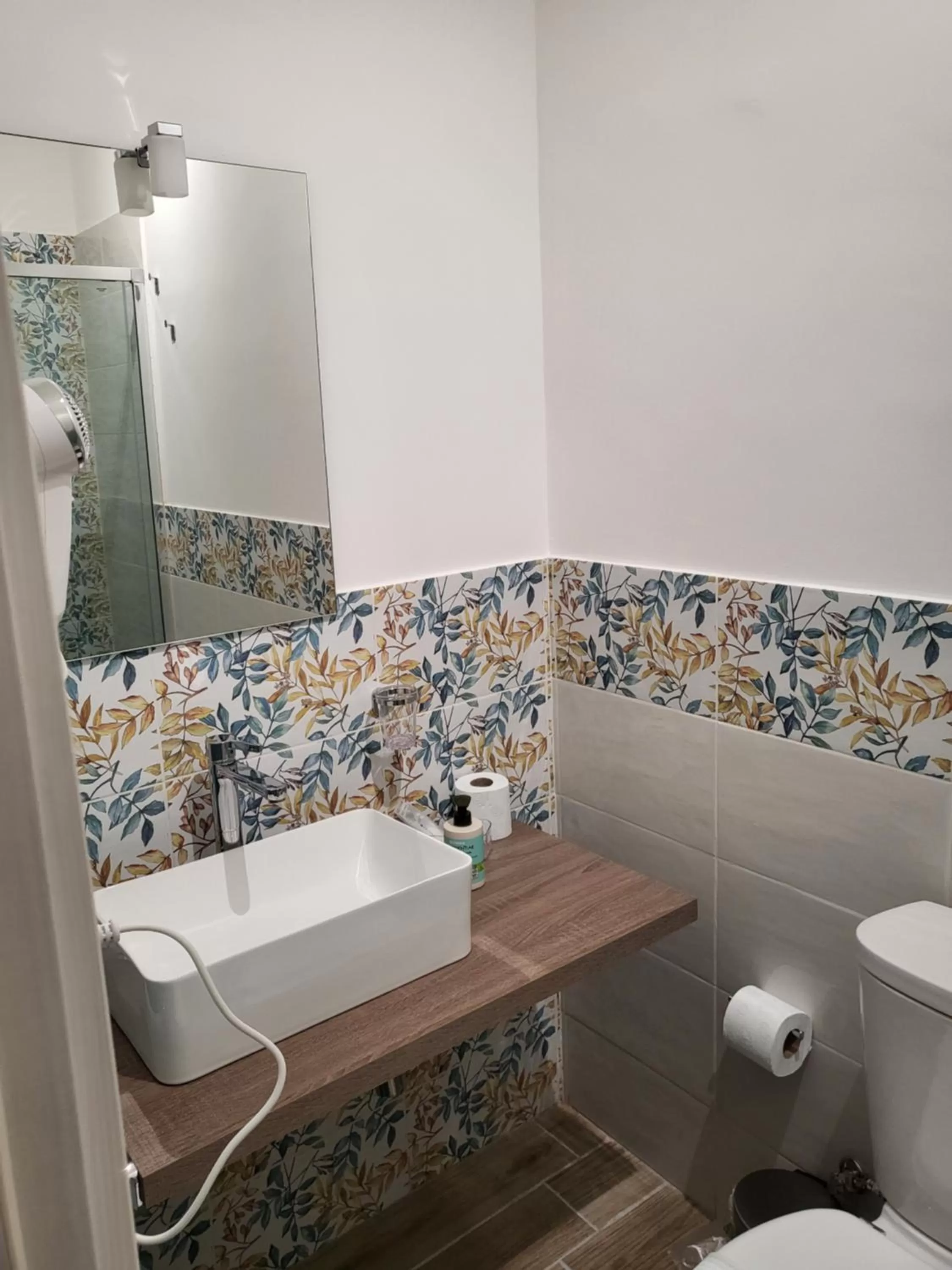 Bathroom in Sicula home