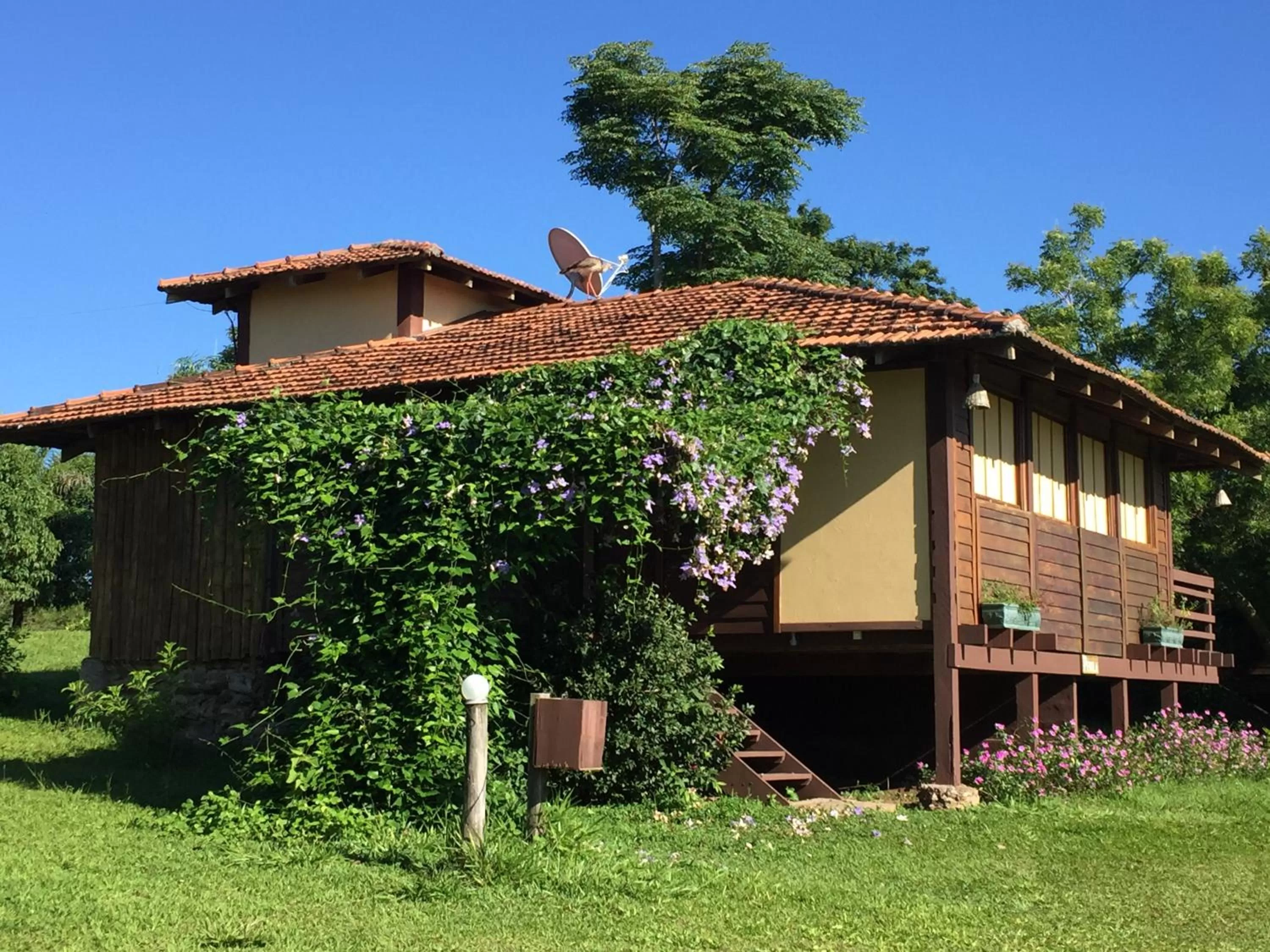 Photo of the whole room in Hotel Santa Esmeralda