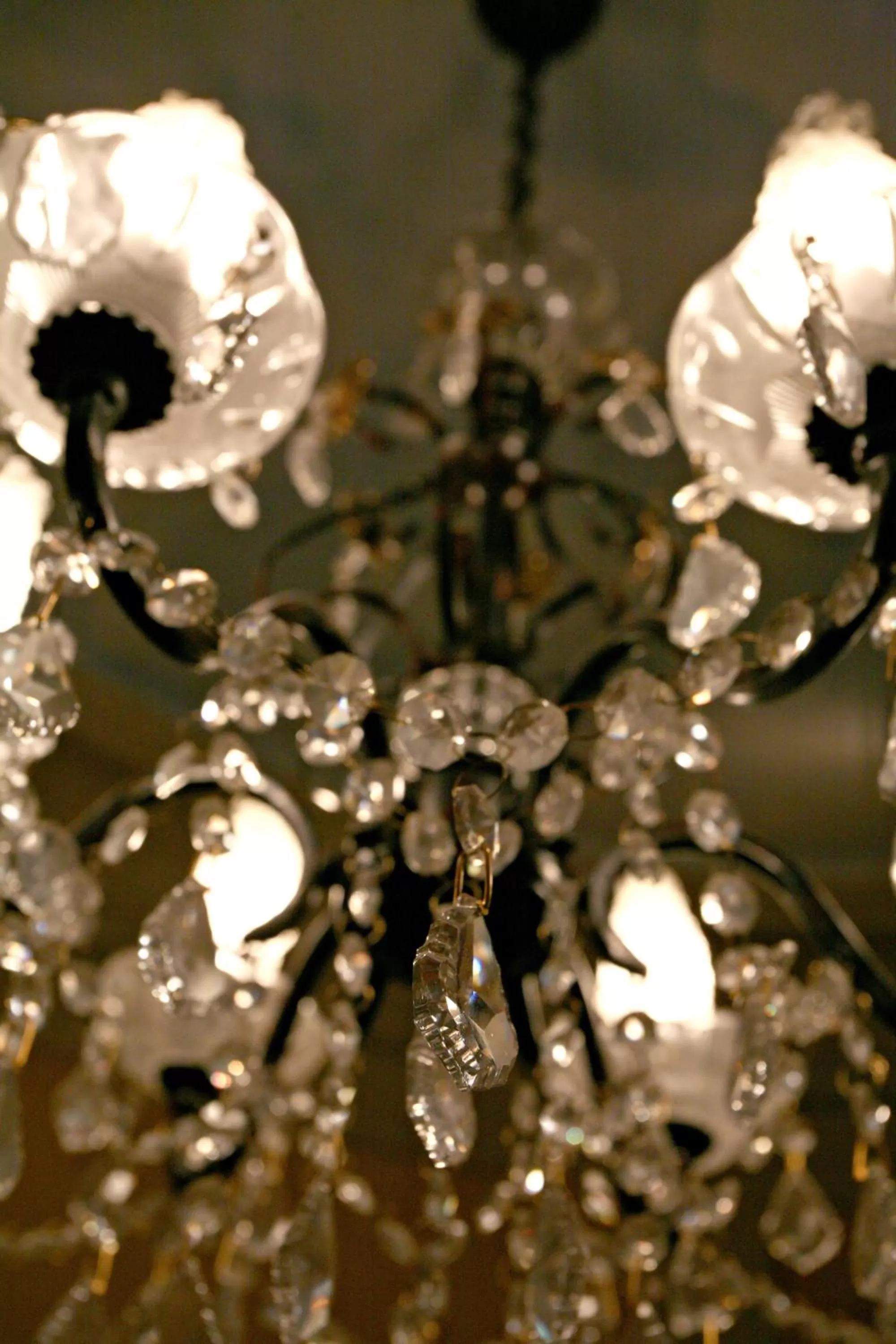 Other in Hotel Beauvoir