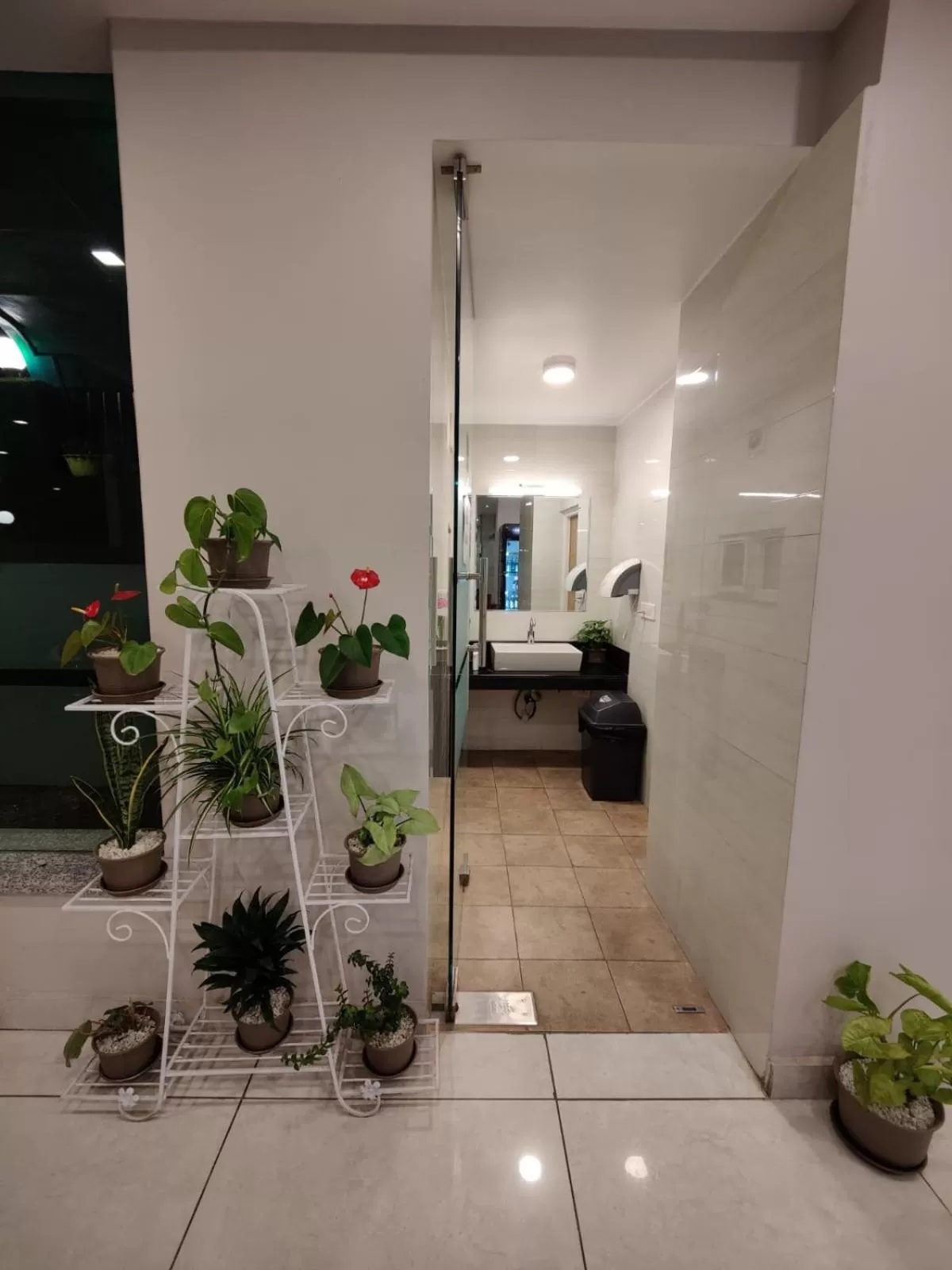 Restaurant/places to eat in Hotel Krishna Kathmandu