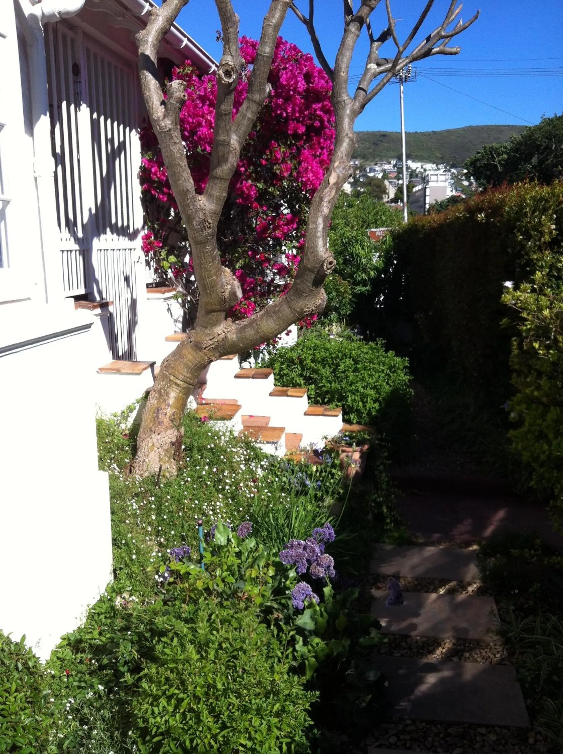 Day in 5 Camp Street Guesthouse & Self-catering