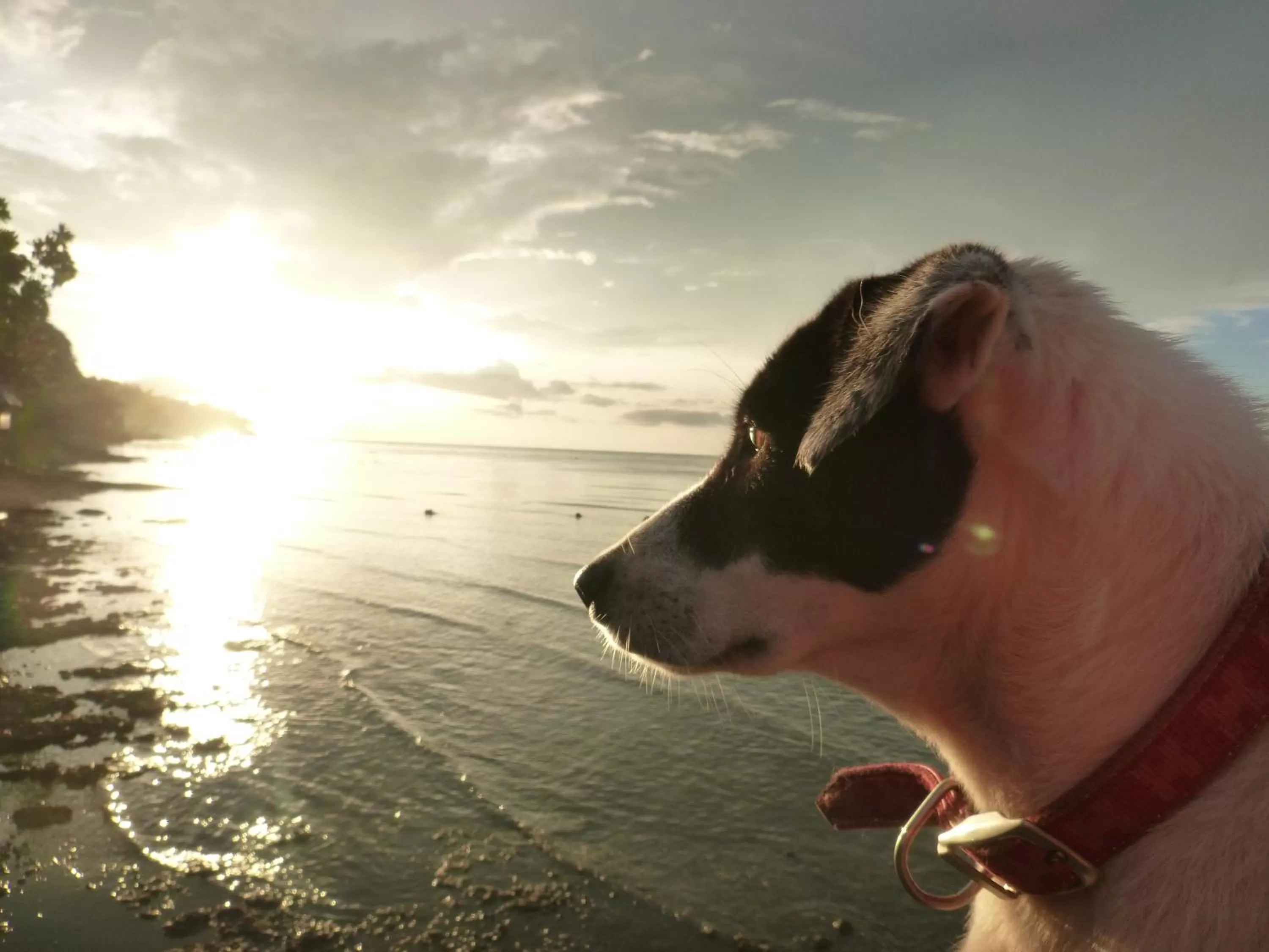 Beach in Paseo Del Mar Seaside Inn