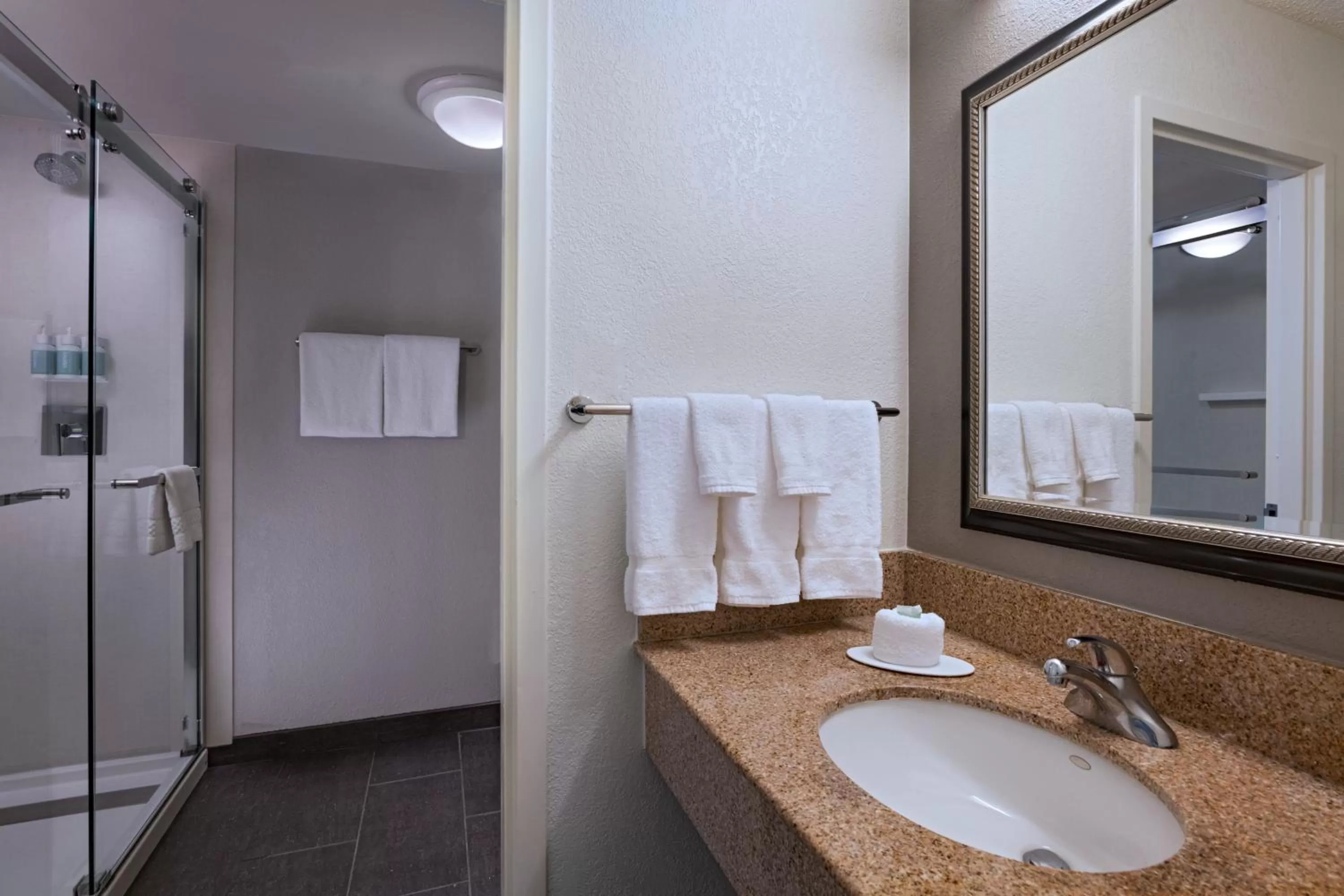 1 Bedroom Suite, 1 King in Courtyard by Marriott Dallas Arlington Entertainment District