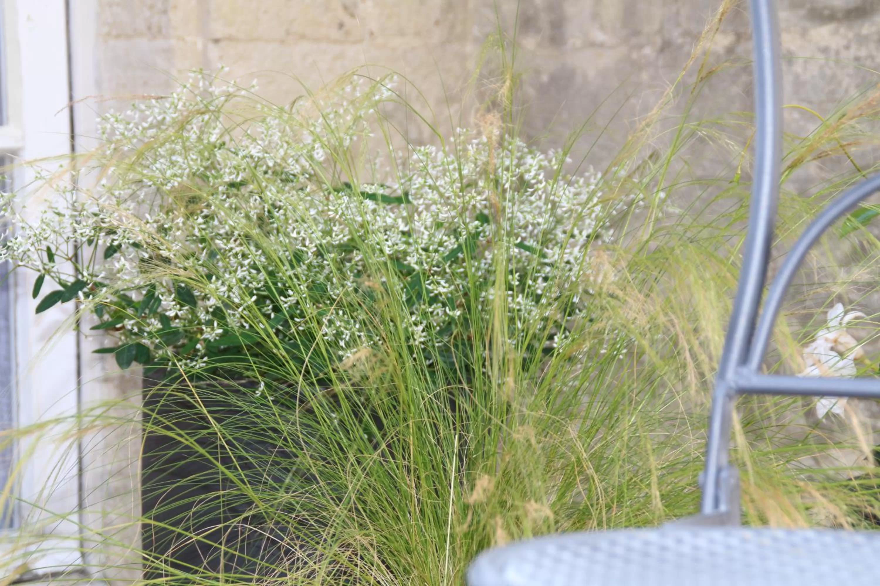 Decorative detail in Une Chambre en Ville