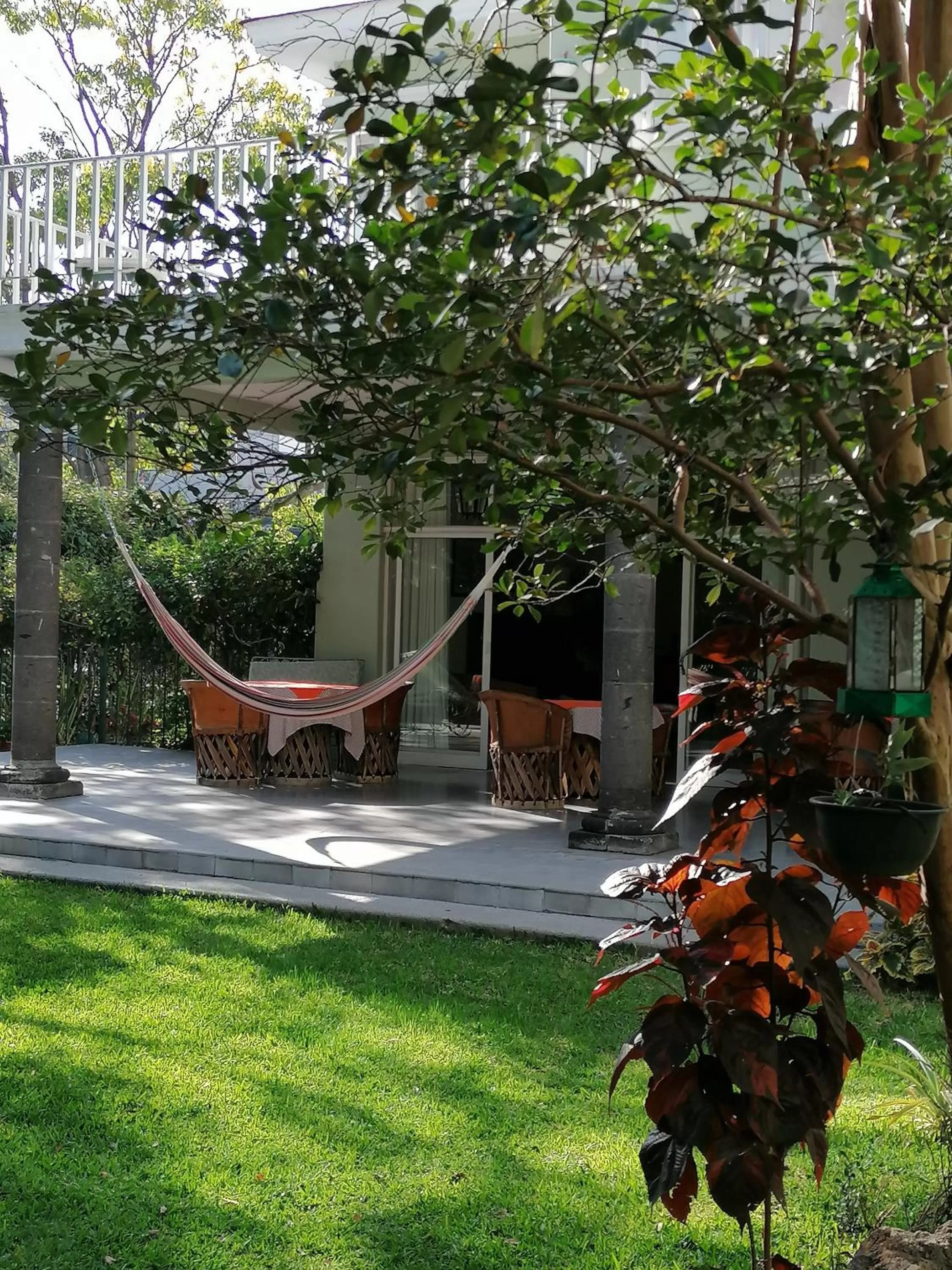 Garden in Casa de Luz