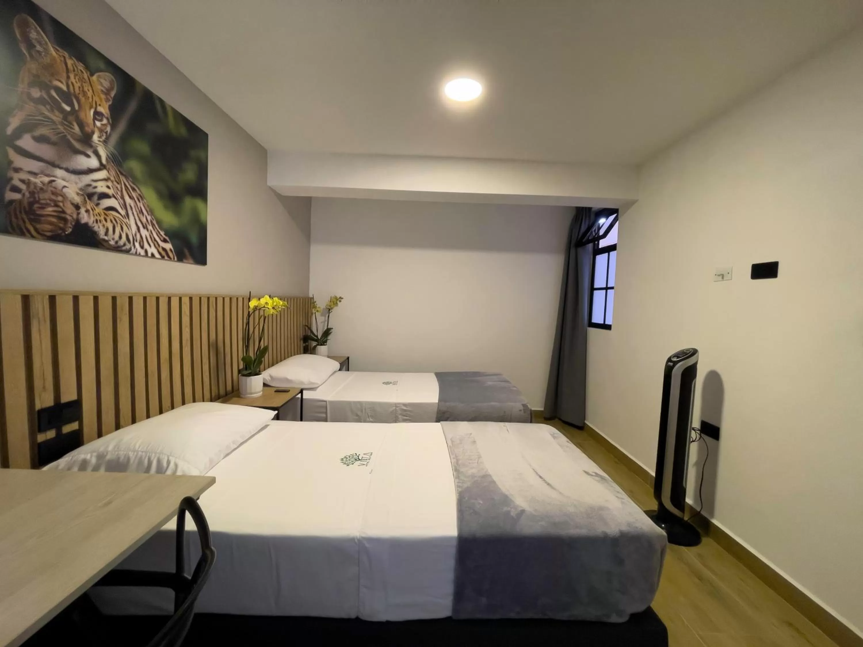 Bed in Vita Hotel Boutique - Aire Acondicionado & Desayuno