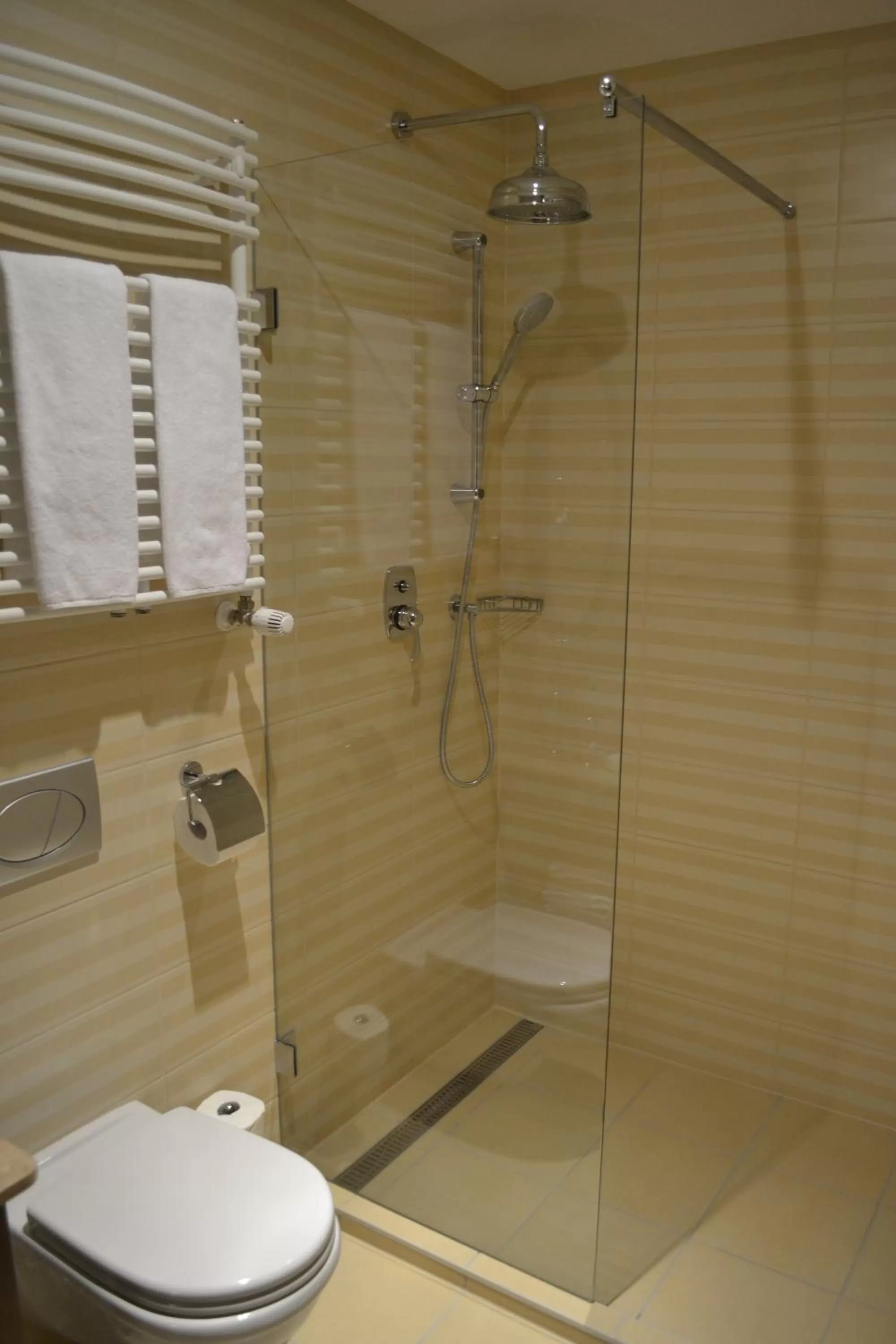 Shower in Mirage Medic Hotel