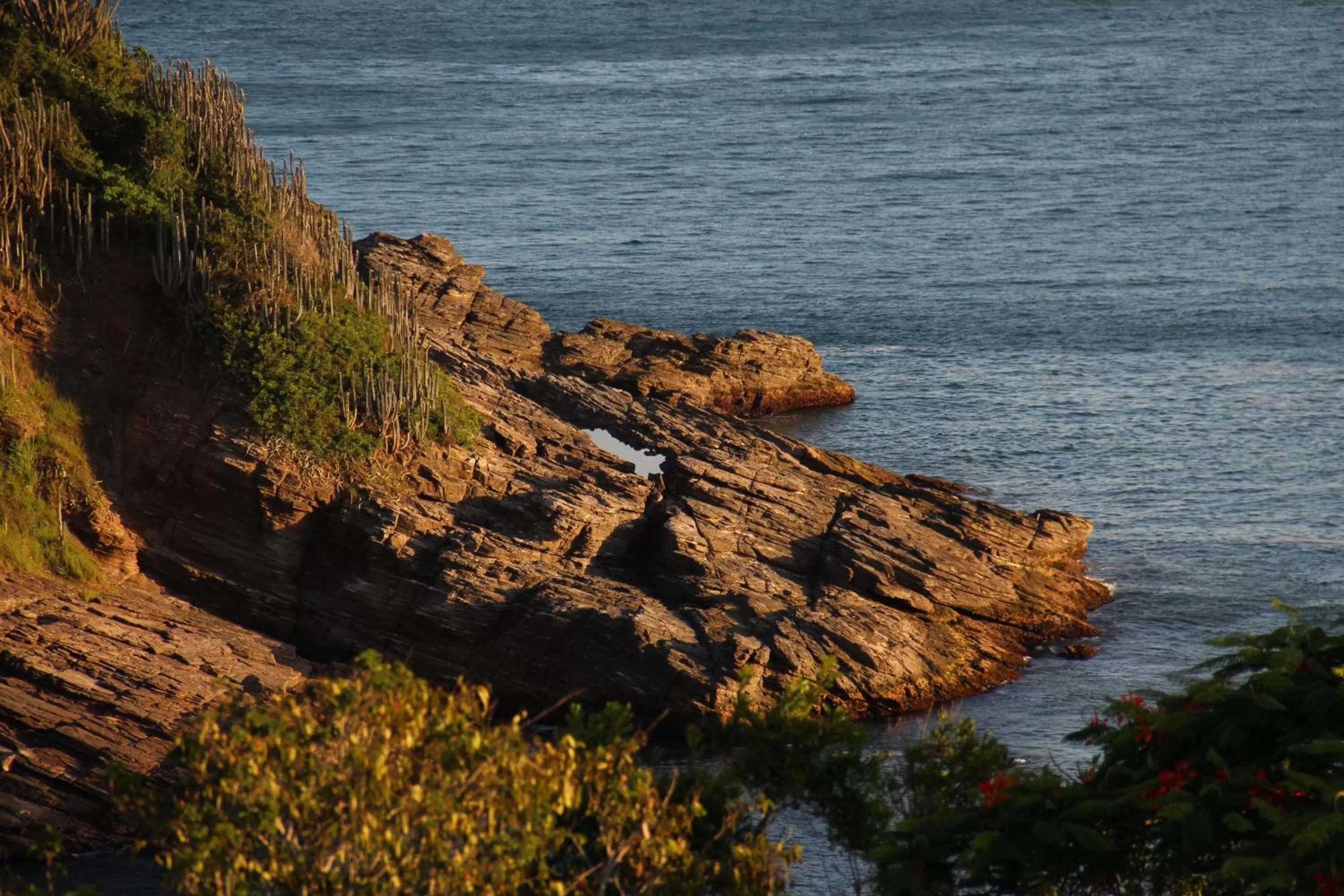Area and facilities, Natural Landscape in Praia da Ferradurinha Guest House