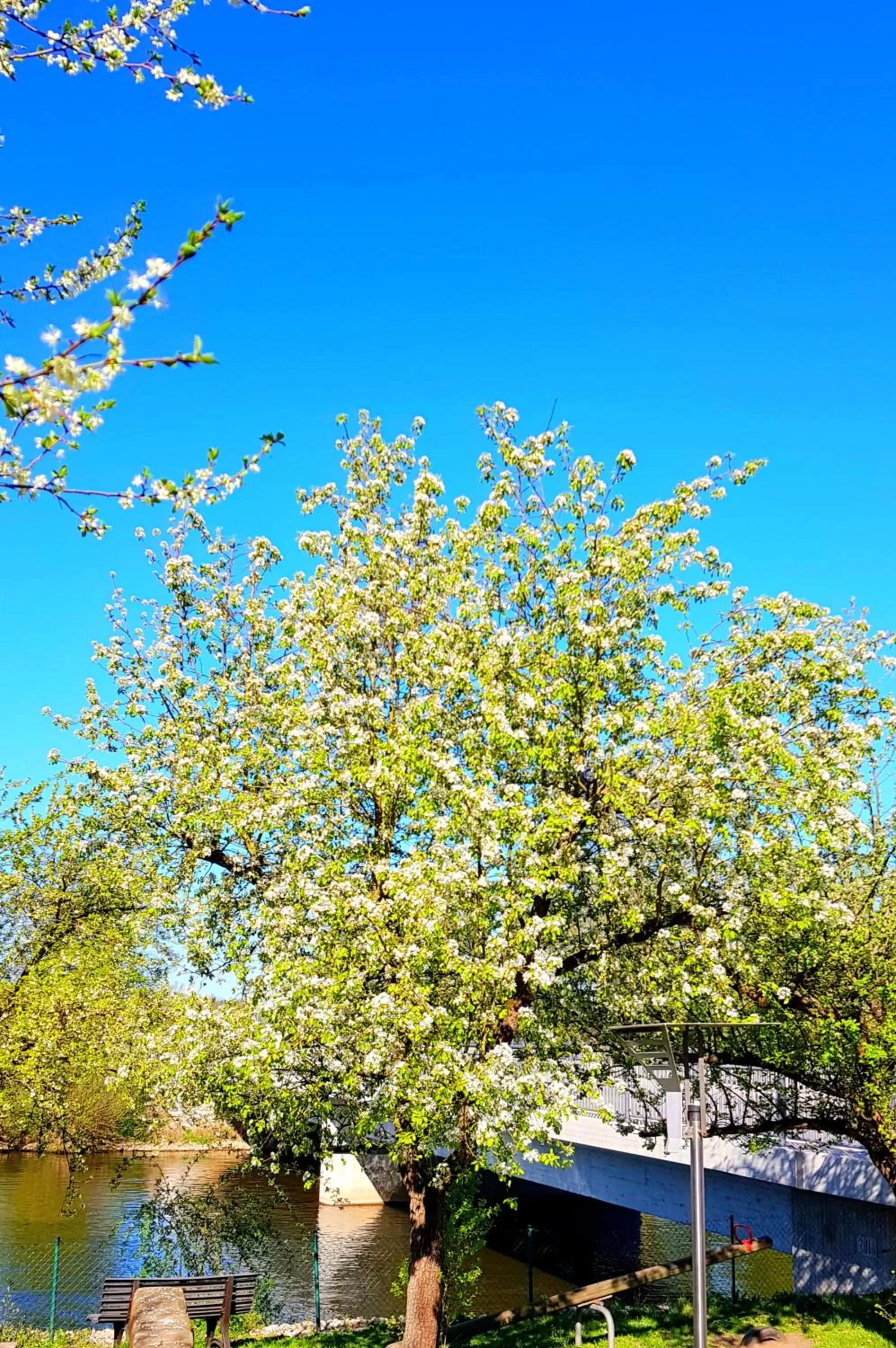 Balcony/Terrace in Hotel und Gasthof Ritter St. Georg