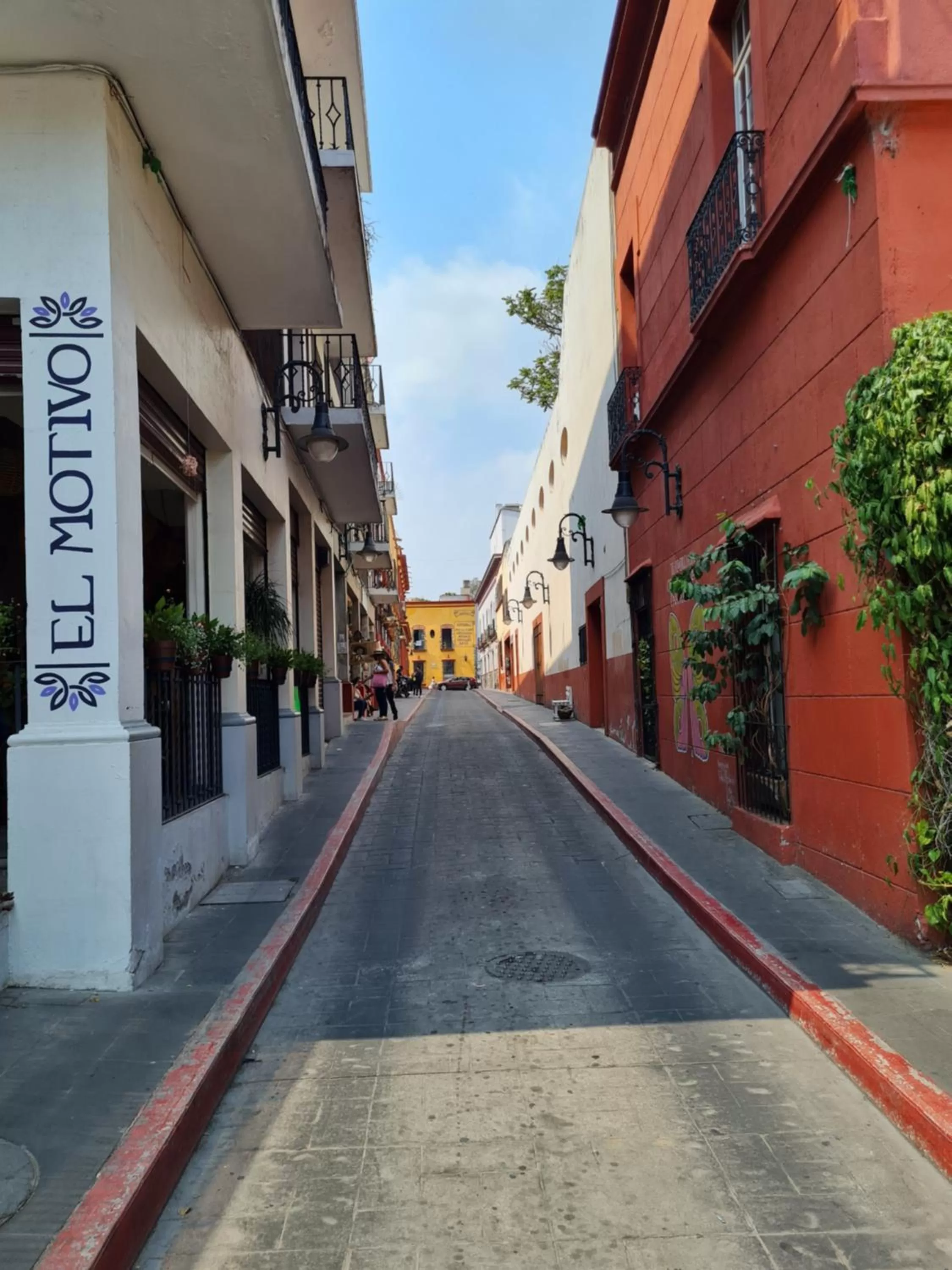 City view, Neighborhood in Hotel Catedral
