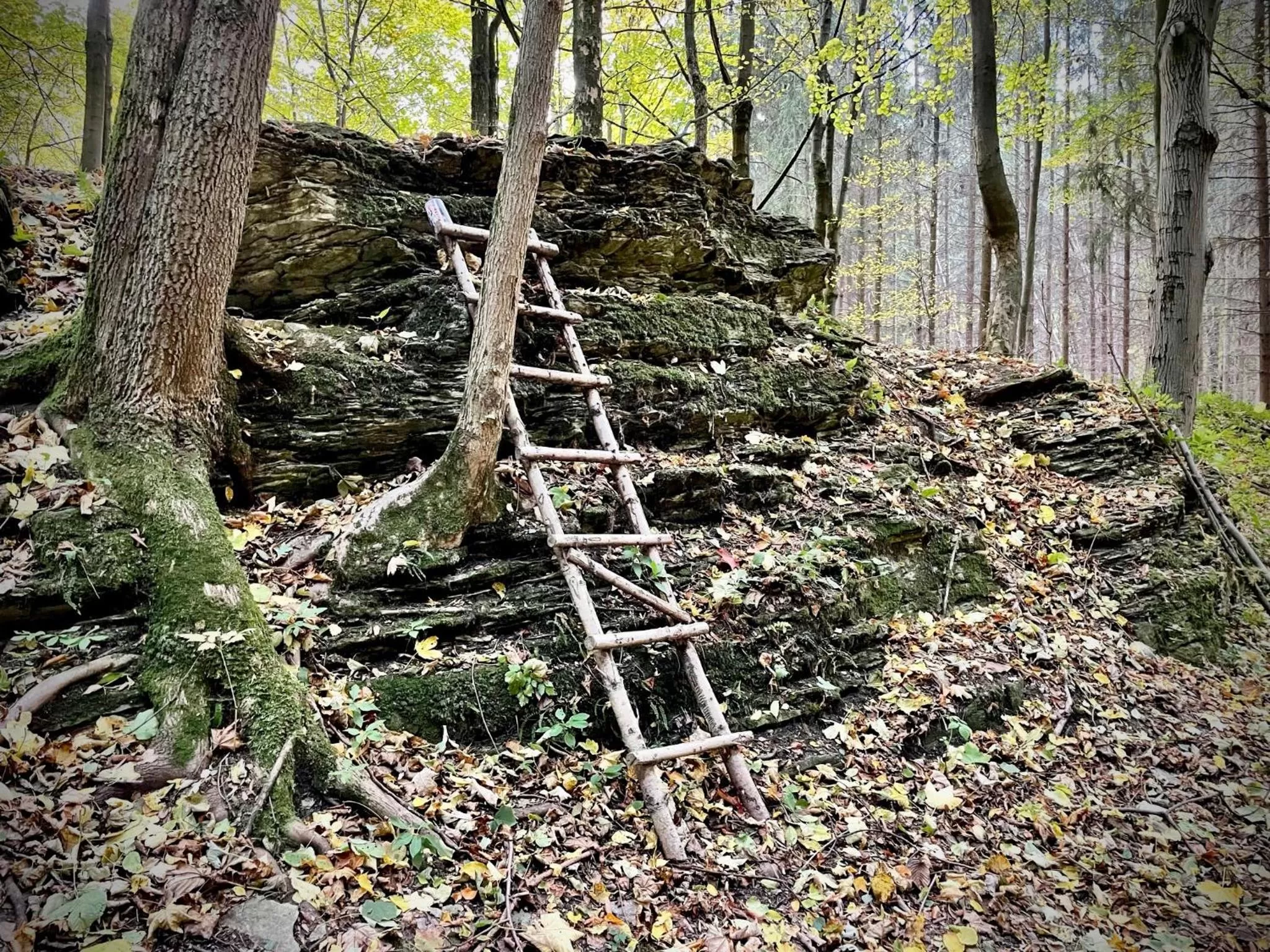 HARABURDI® Recyclart Hotel