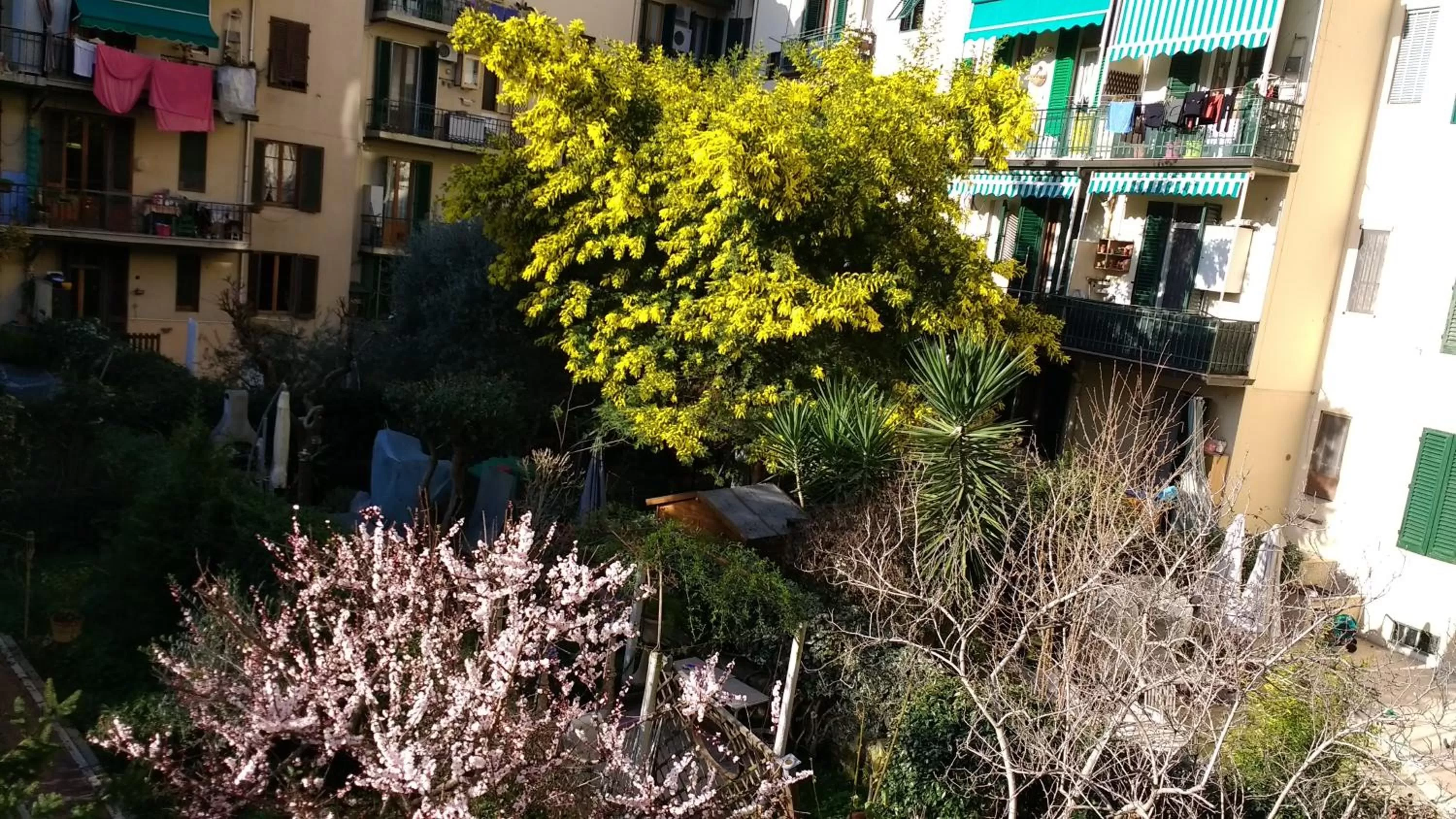 Spring in Bianca B&B