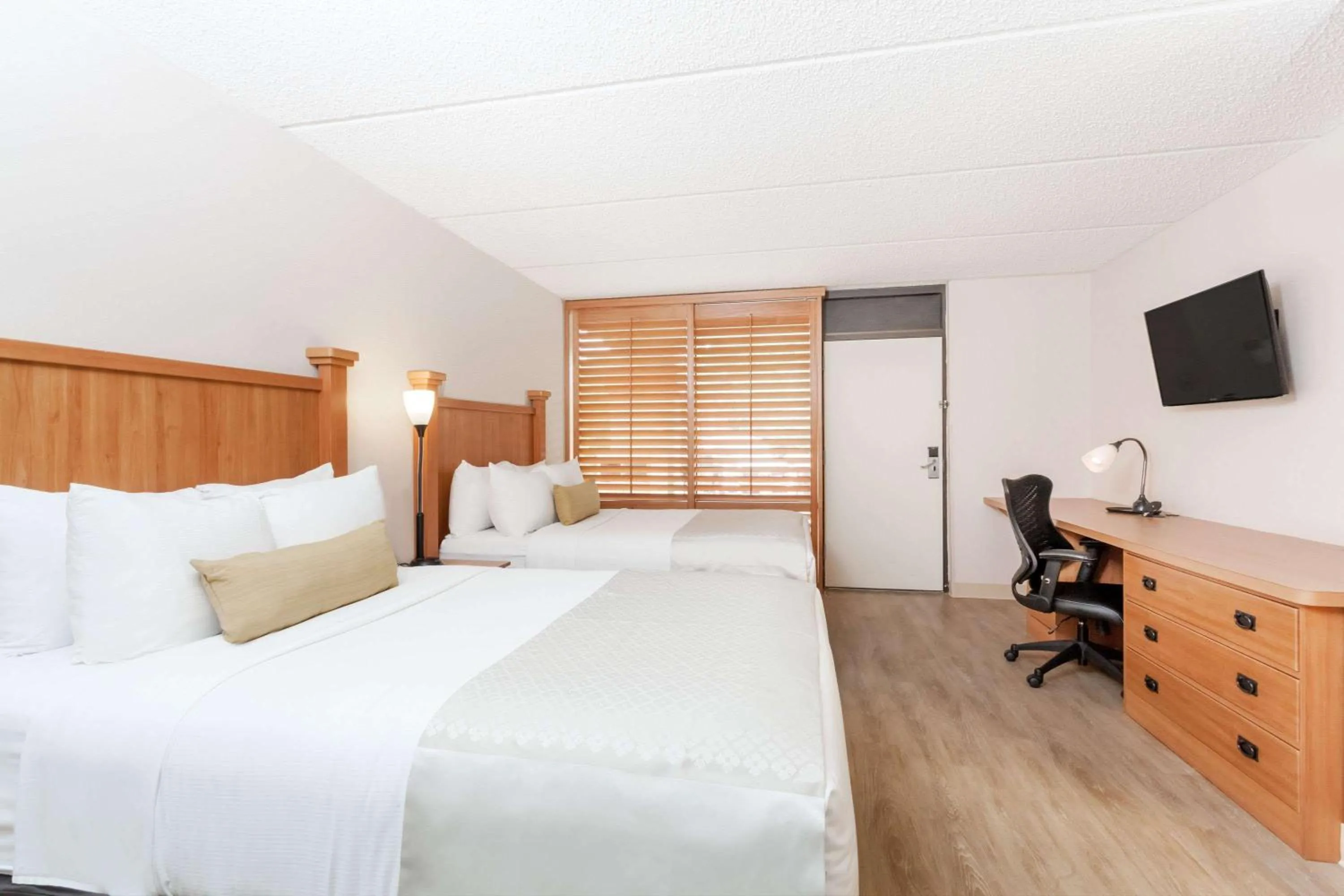 Photo of the whole room, Bed in Wyndham Garden Hotel Austin