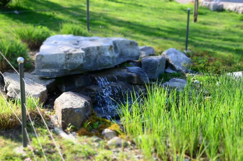 Day in Bad Schauenburg