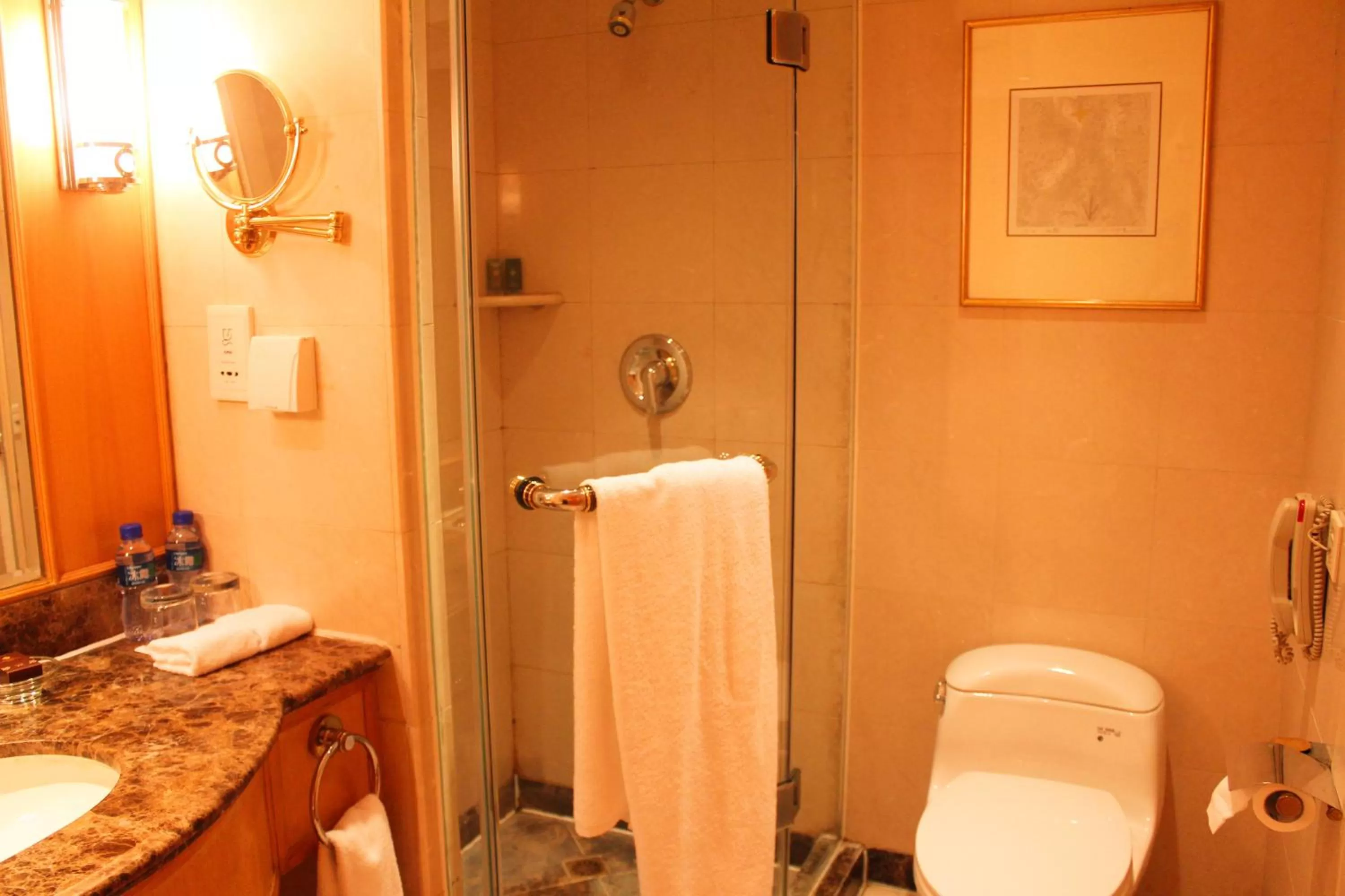 Toilet in The Presidential Beijing