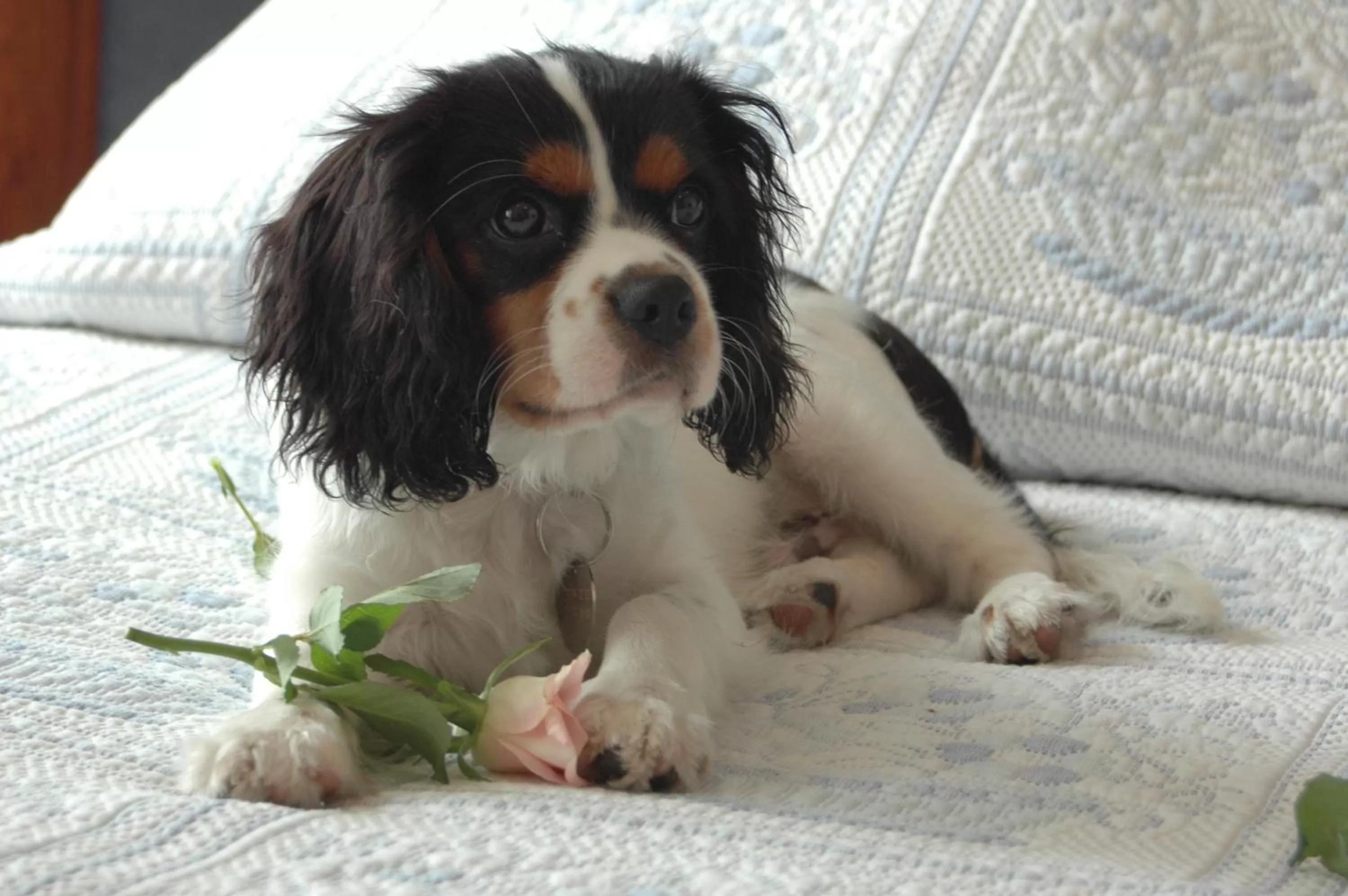 Other in Hotel Splendid