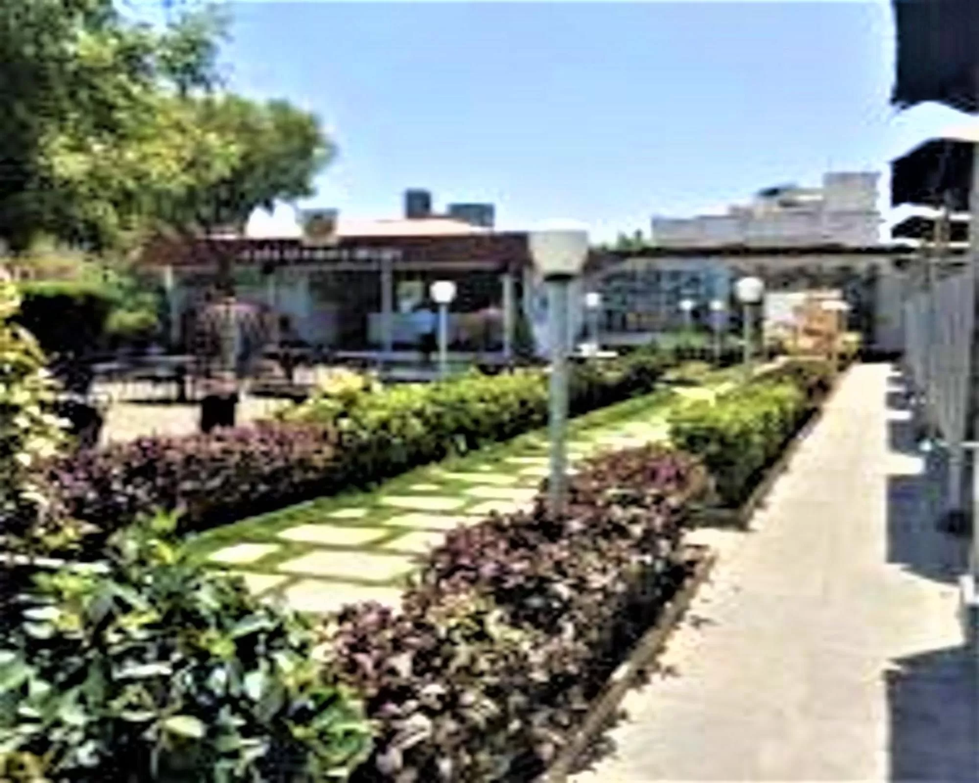 Garden in Hotel Krishna Exotica