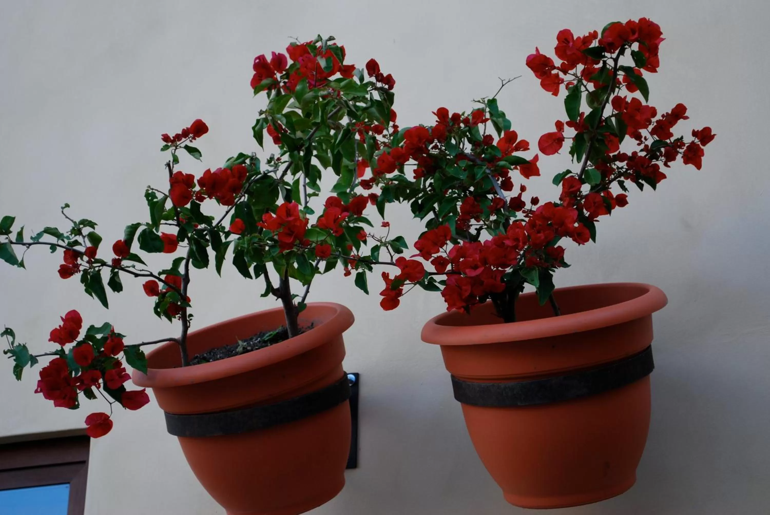 Decorative detail in All Suite El Marques de Antigua