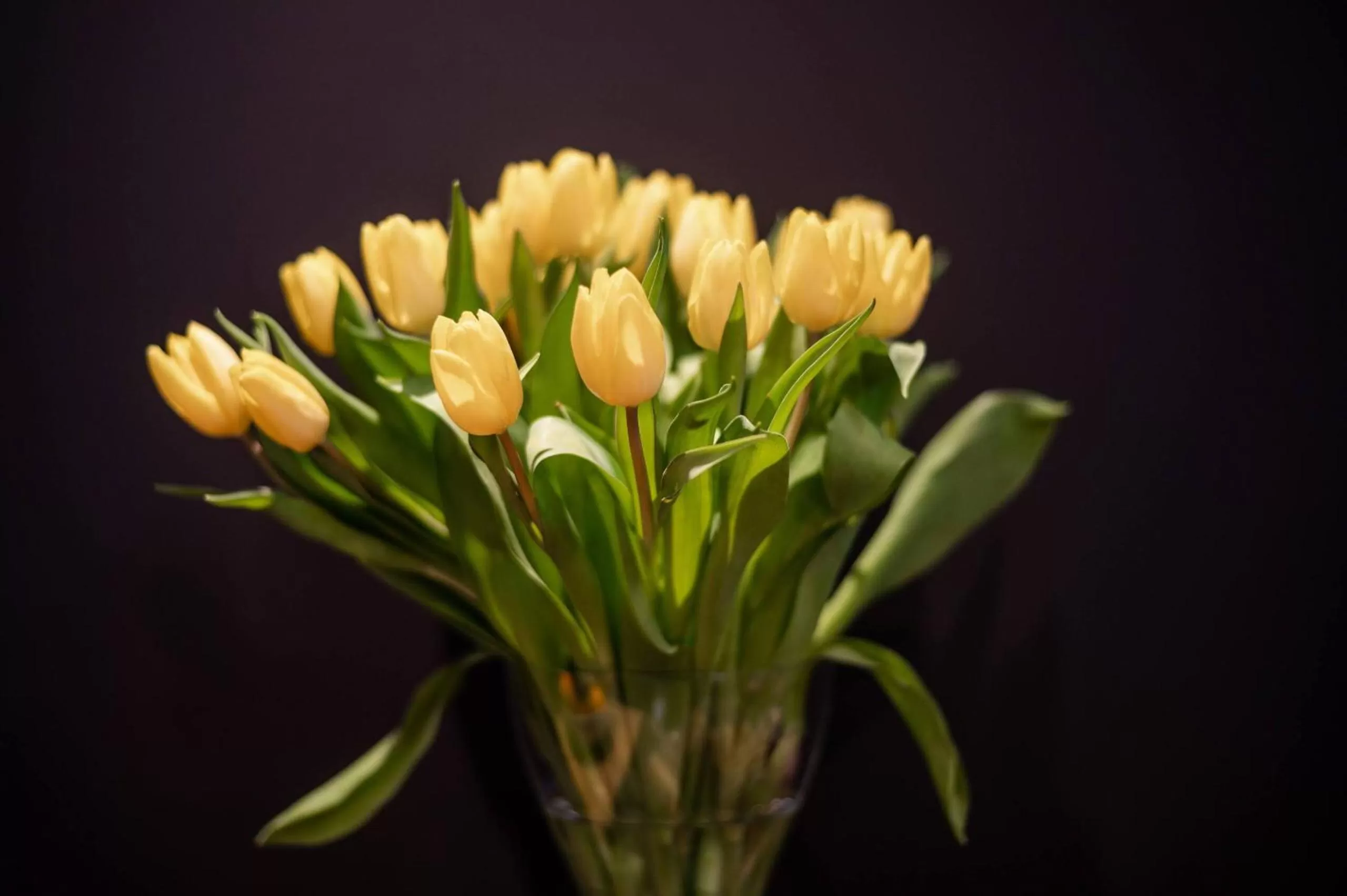 Dining area in La Maison de Jean by Maison Bacou