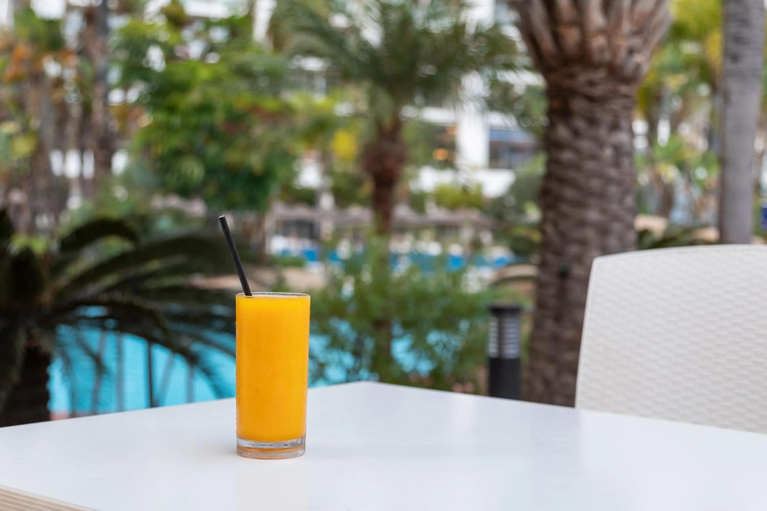 Balcony/Terrace in Melia Benidorm